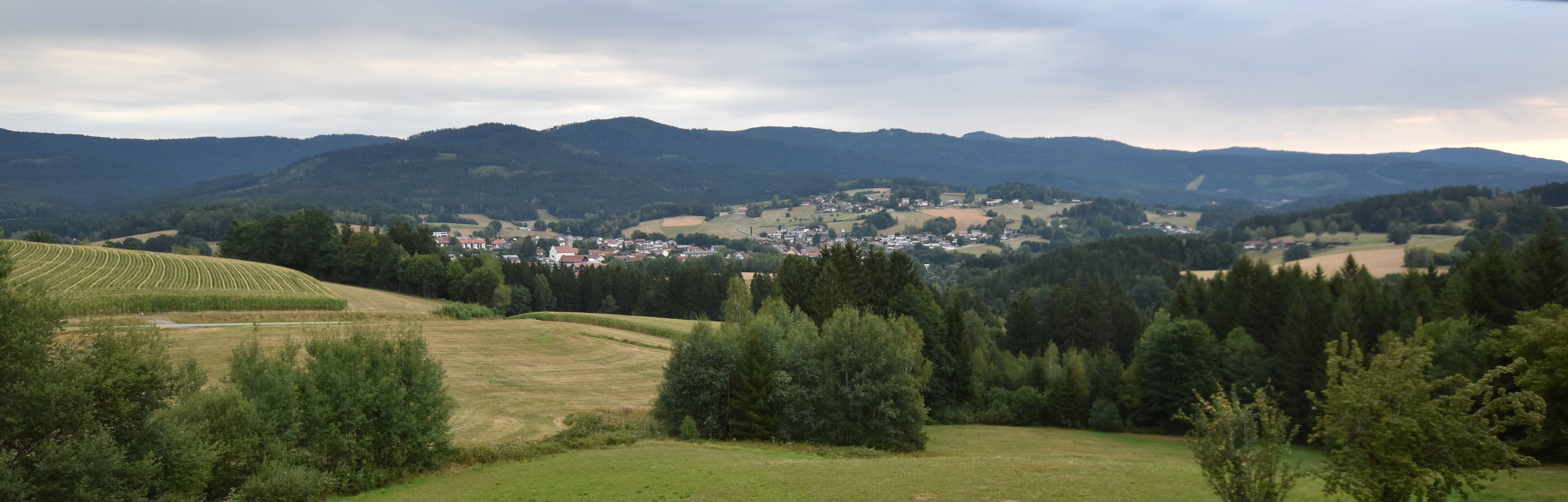 Archiv Foto Webcam Drachselsried / Lesmannsried