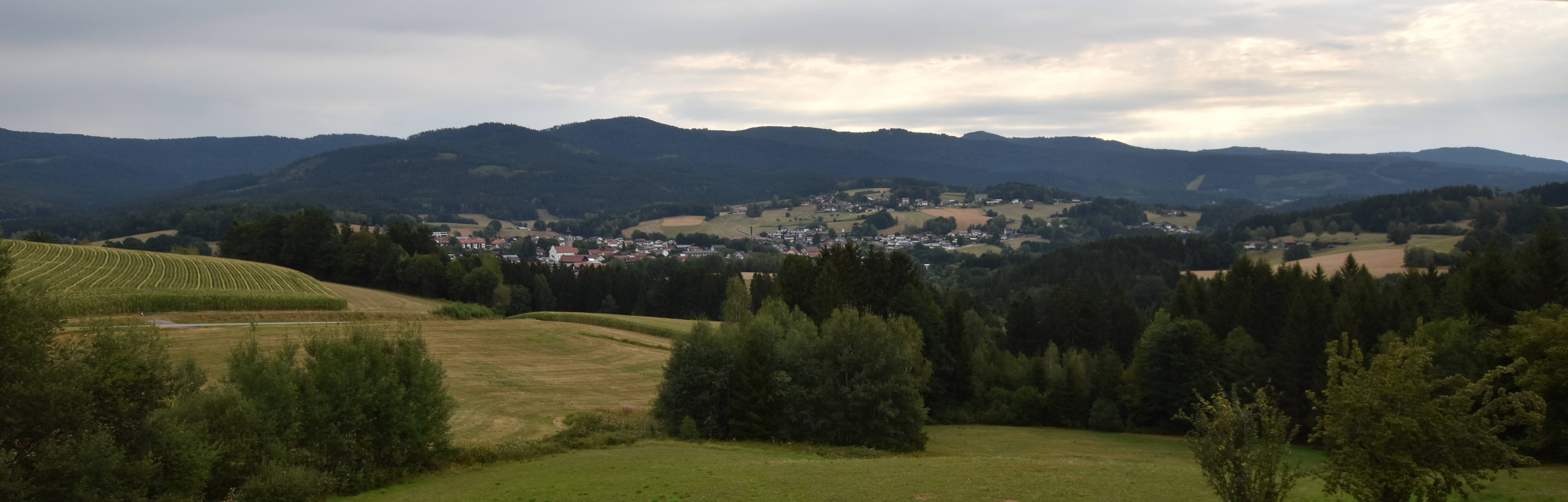 Archiv Foto Webcam Drachselsried / Lesmannsried