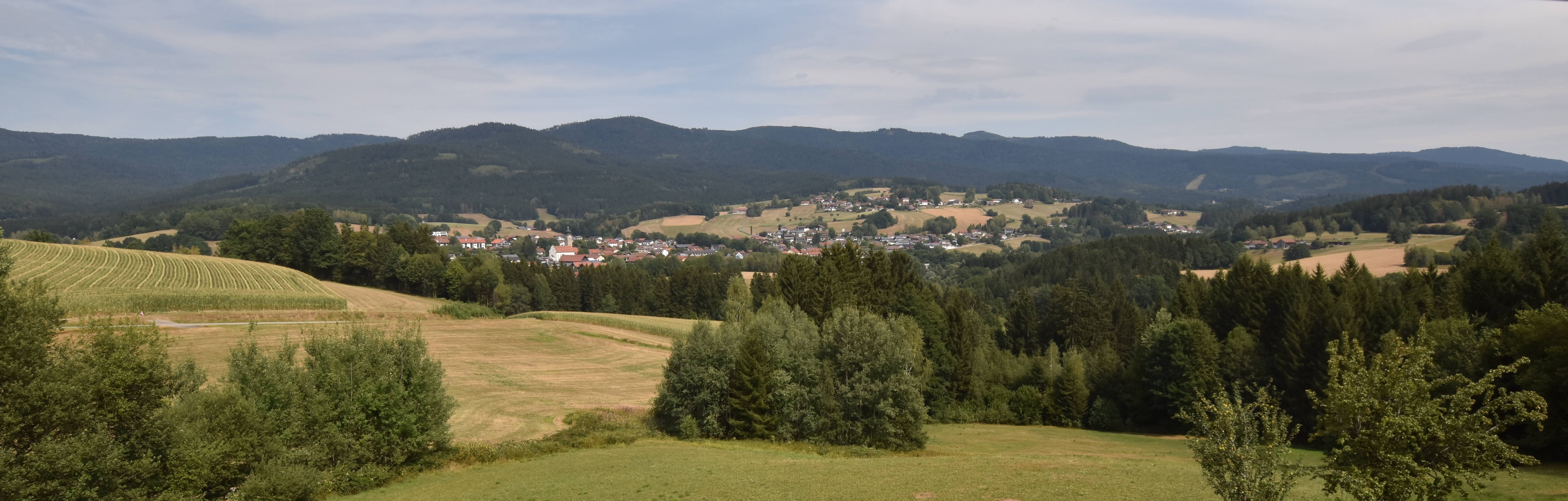 Archiv Foto Webcam Drachselsried / Lesmannsried