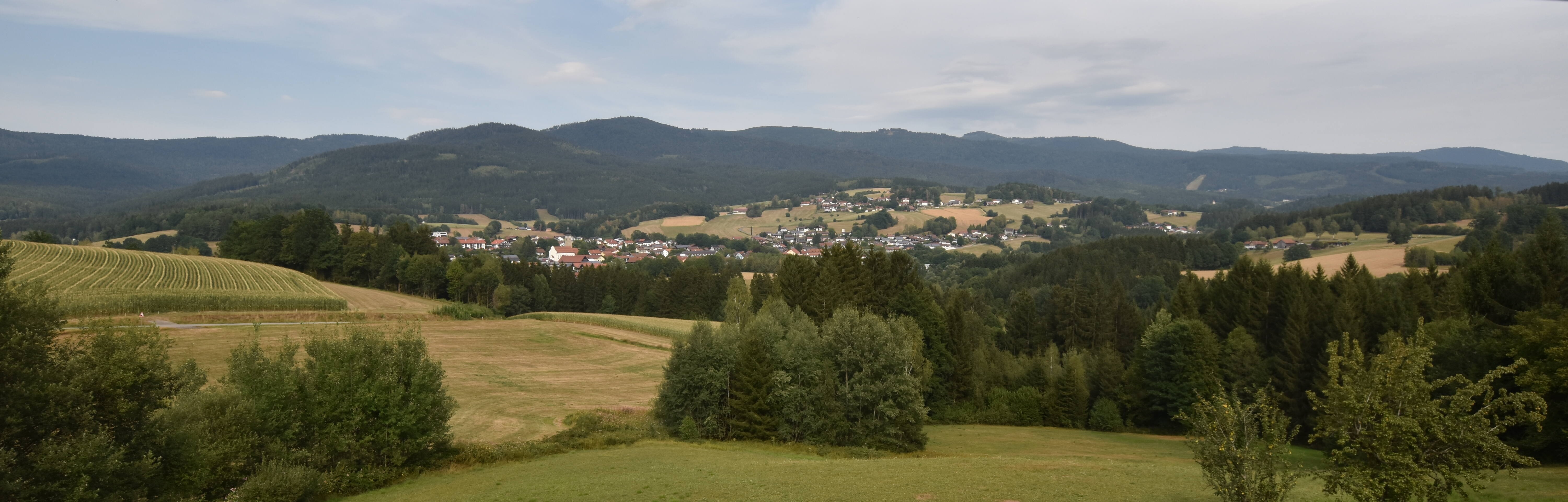 Archiv Foto Webcam Drachselsried / Lesmannsried