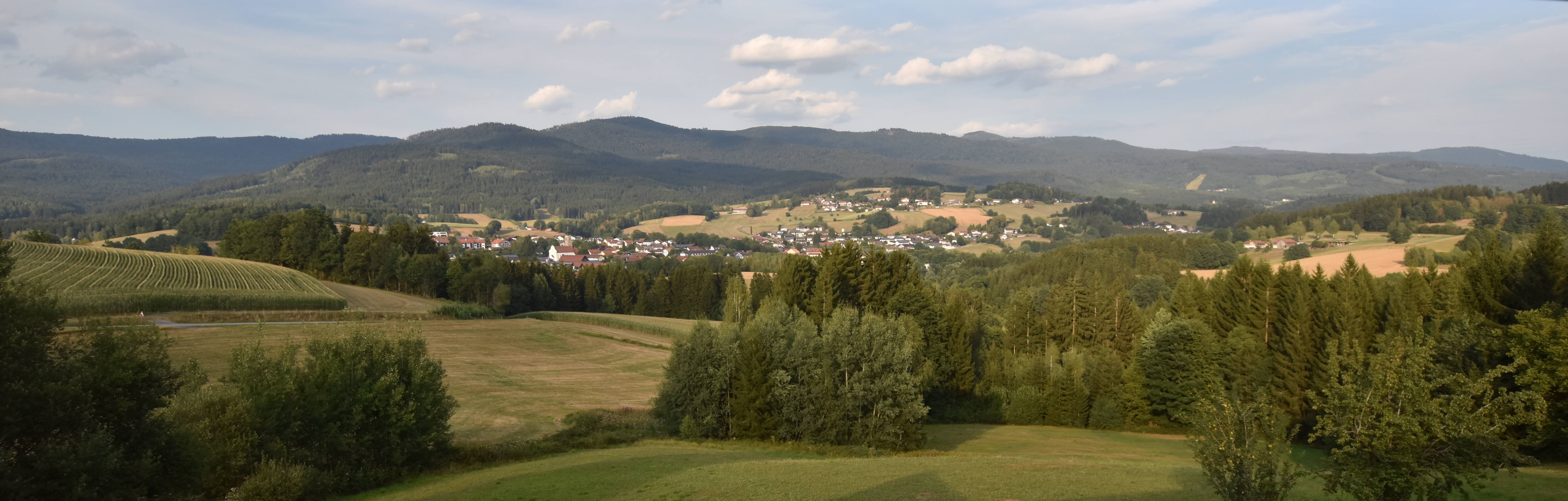 Archiv Foto Webcam Drachselsried / Lesmannsried
