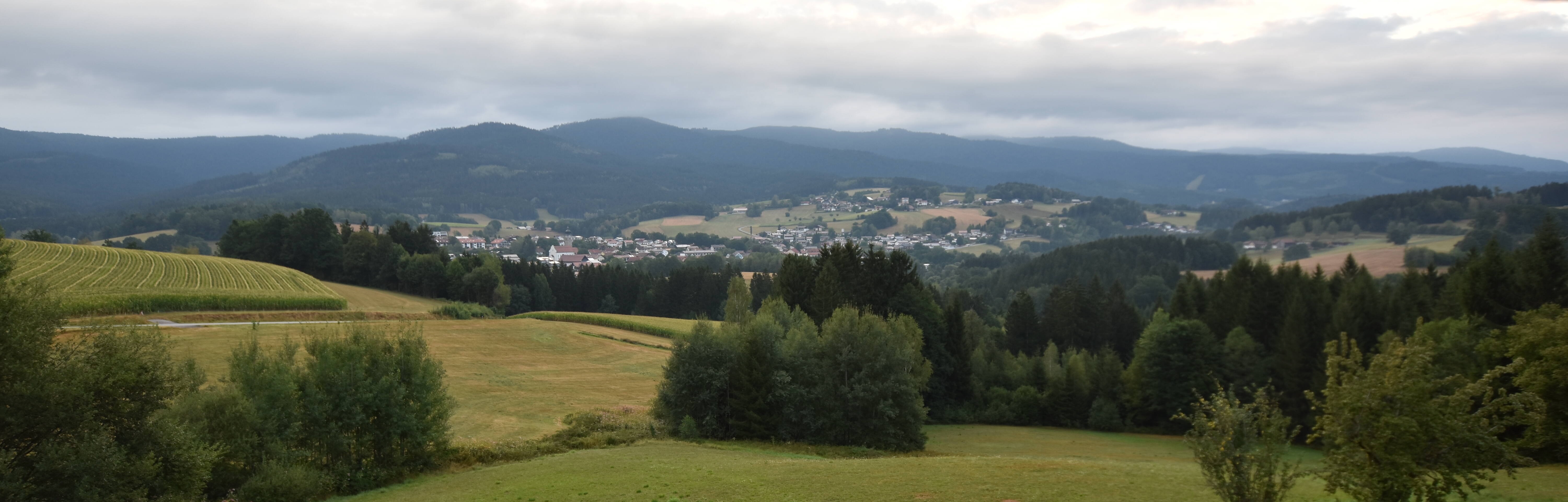 Archiv Foto Webcam Drachselsried / Lesmannsried
