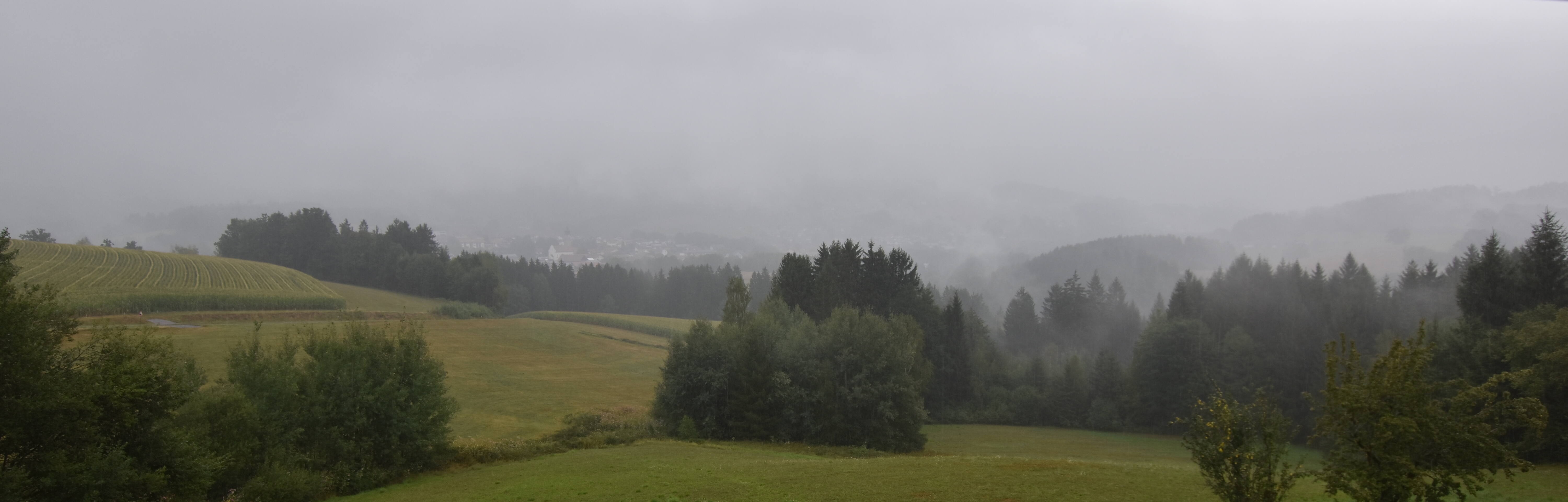 Archiv Foto Webcam Drachselsried / Lesmannsried