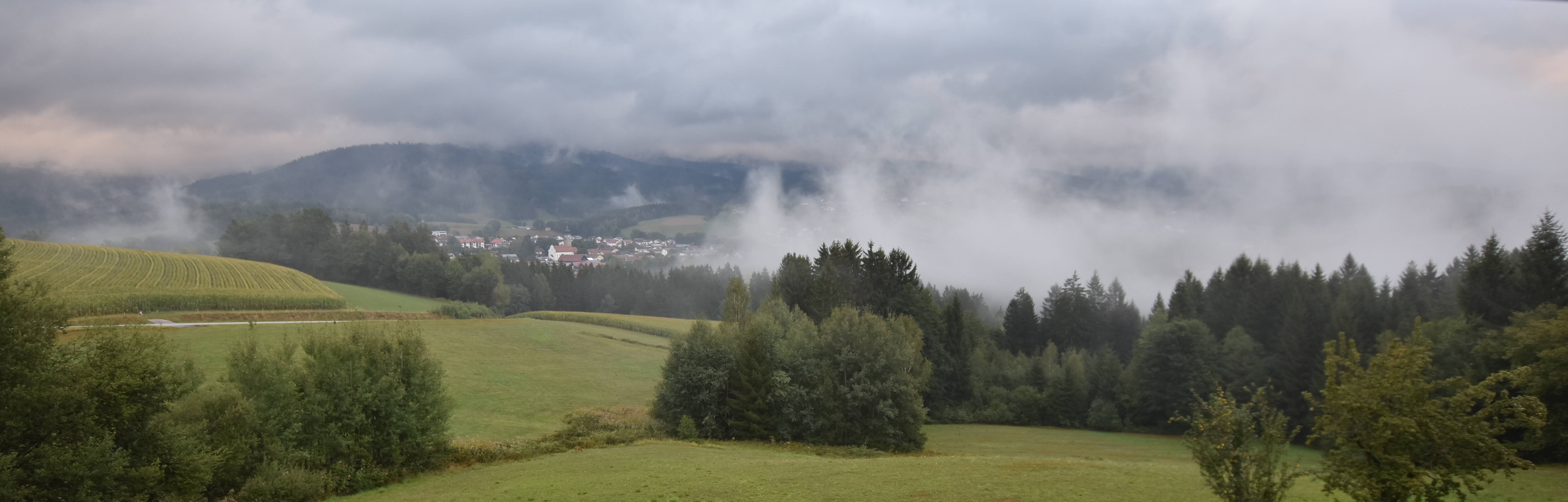 Archiv Foto Webcam Drachselsried / Lesmannsried