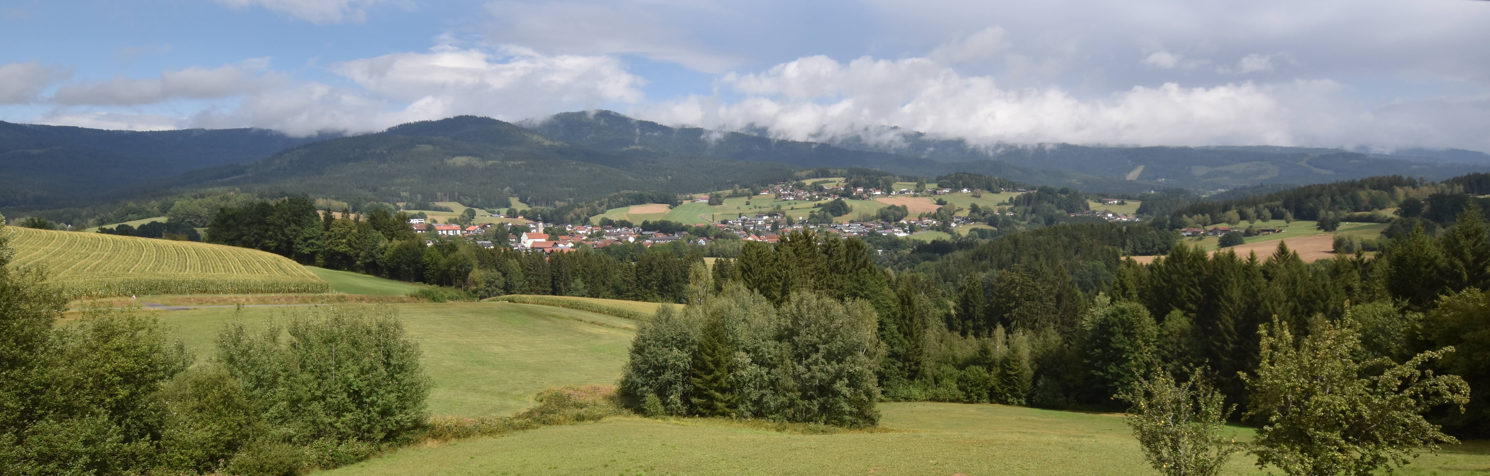 Archiv Foto Webcam Drachselsried / Lesmannsried