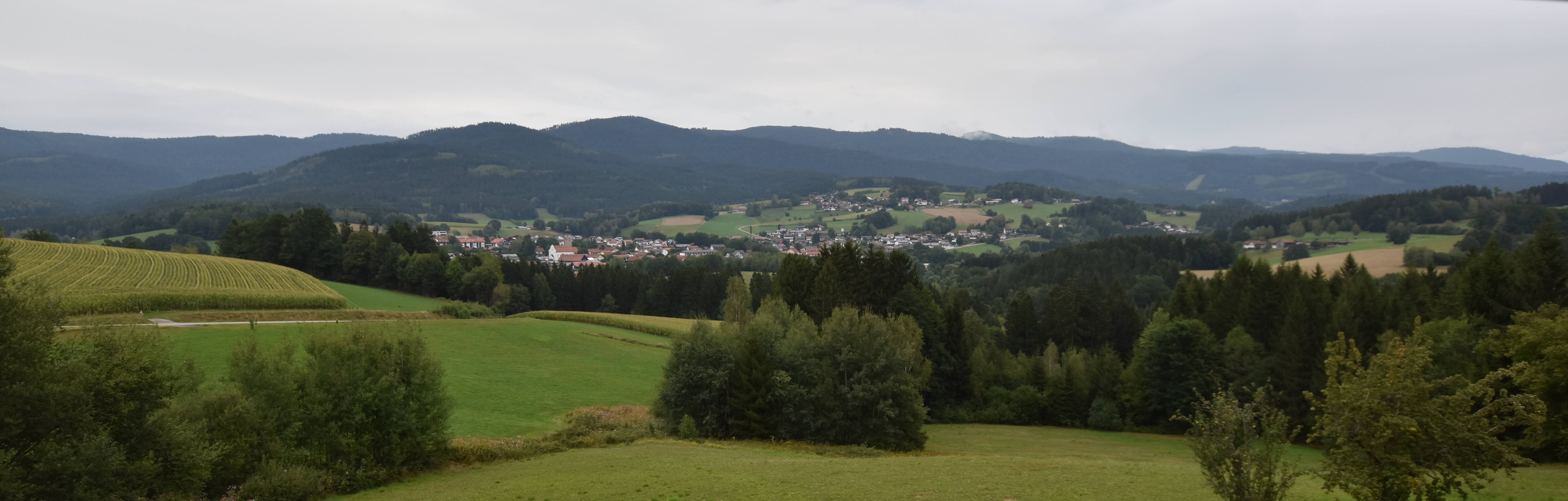Archiv Foto Webcam Drachselsried / Lesmannsried