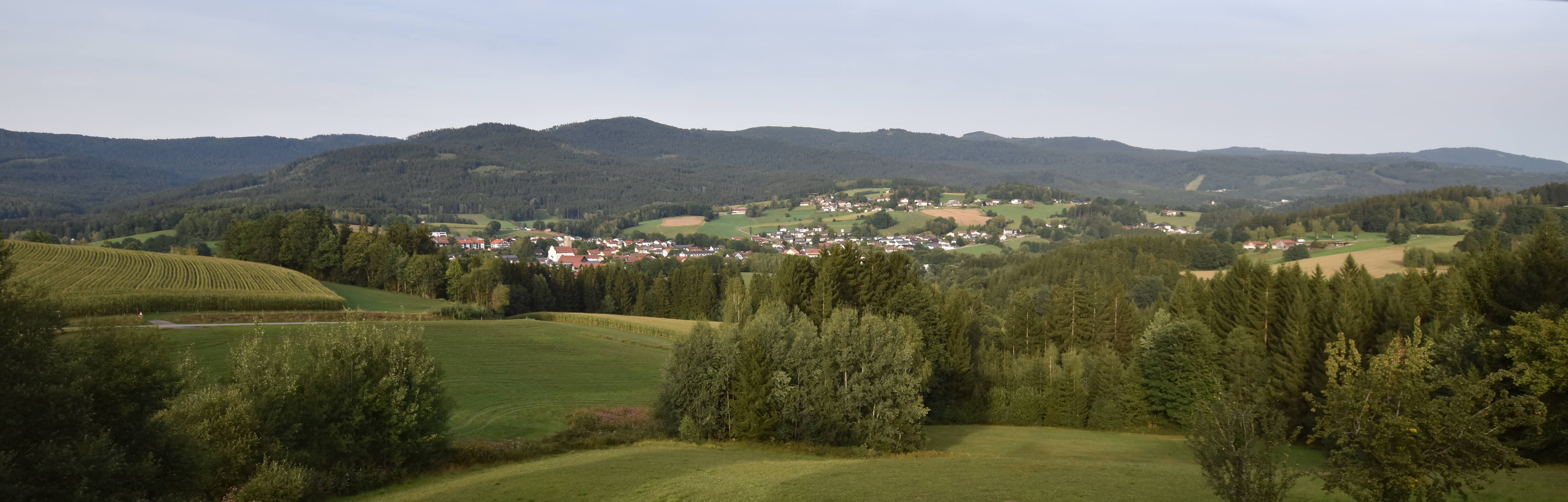 Archiv Foto Webcam Drachselsried / Lesmannsried