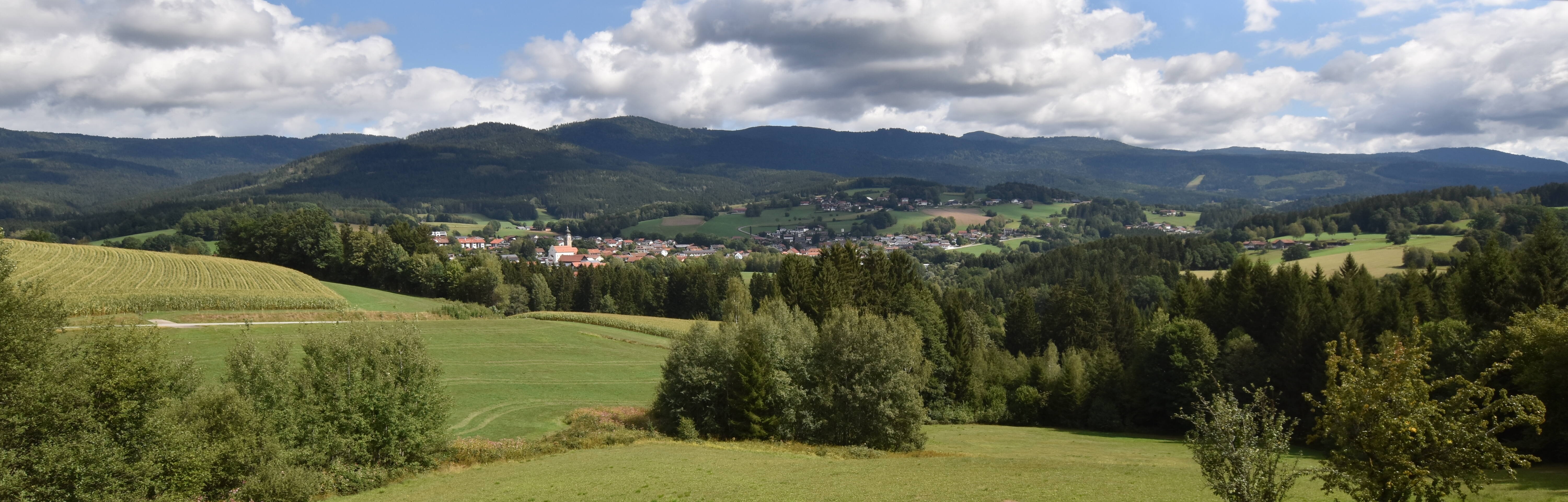 Archiv Foto Webcam Drachselsried / Lesmannsried