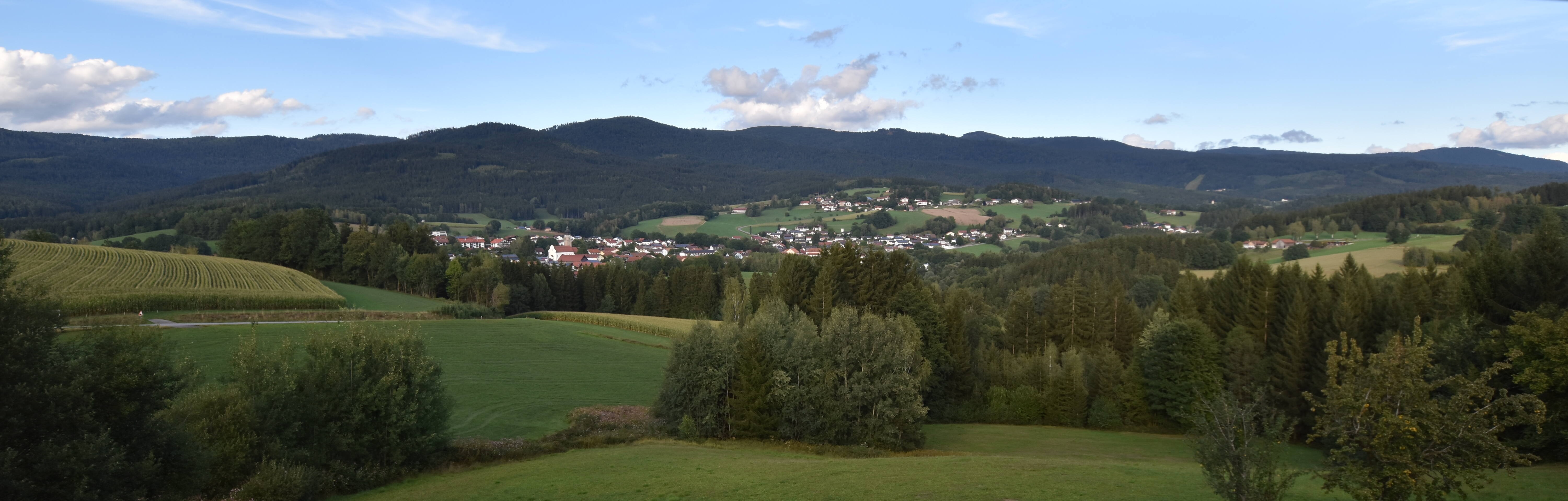 Archiv Foto Webcam Drachselsried / Lesmannsried