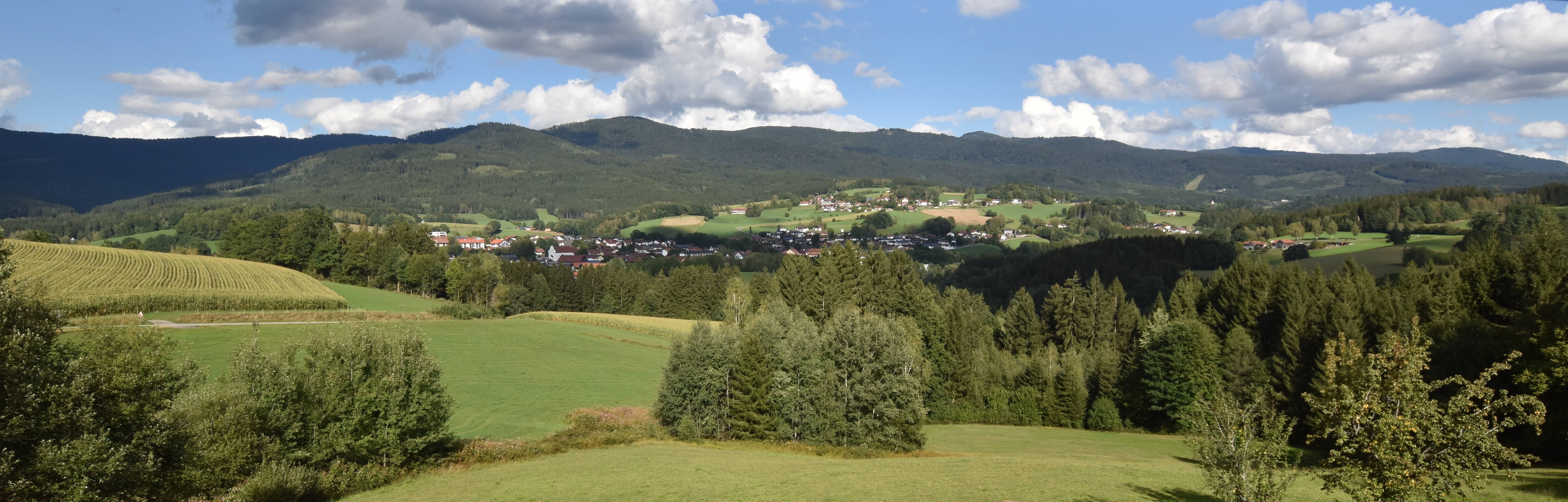 Archiv Foto Webcam Drachselsried / Lesmannsried