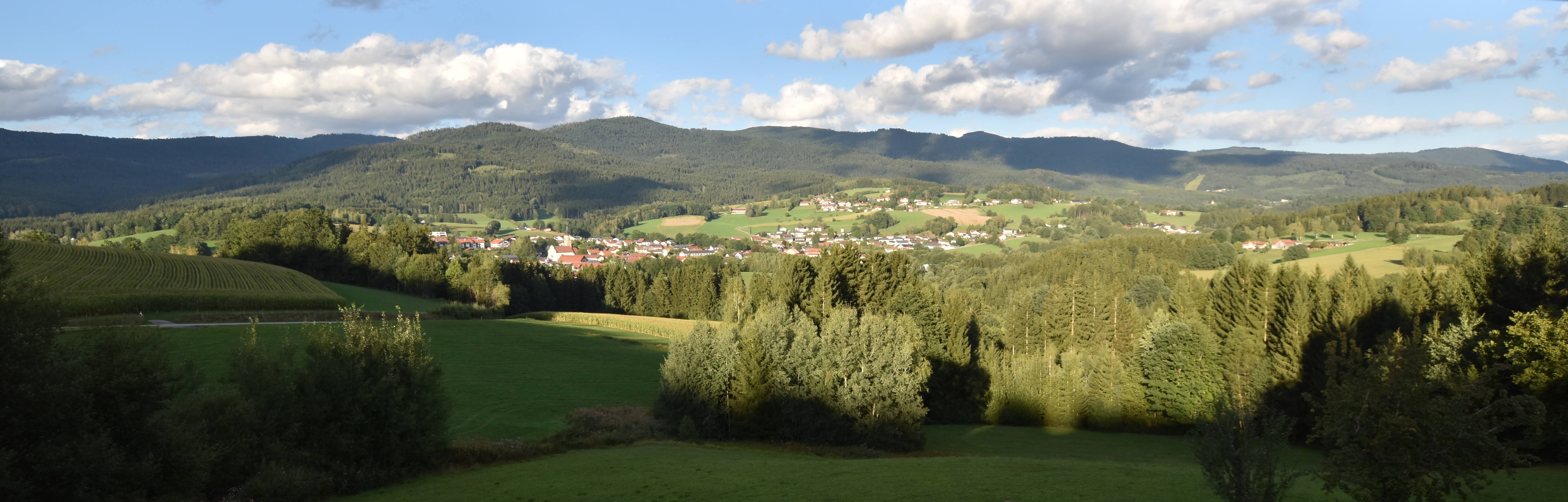 Archiv Foto Webcam Drachselsried / Lesmannsried