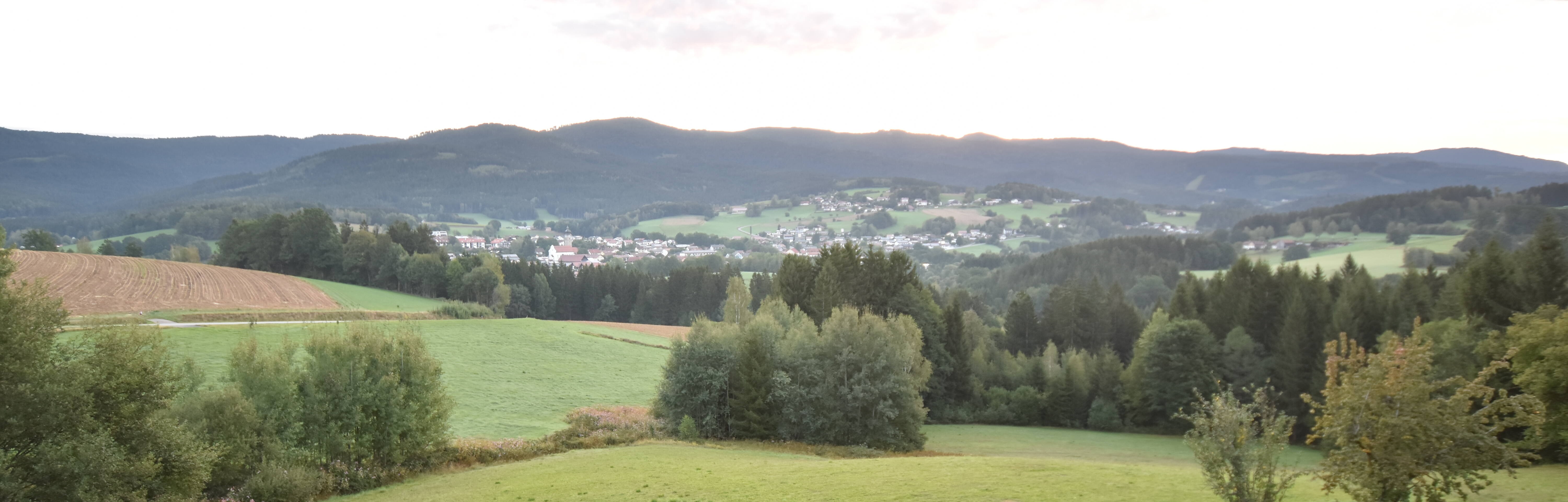 Archiv Foto Webcam Drachselsried / Lesmannsried