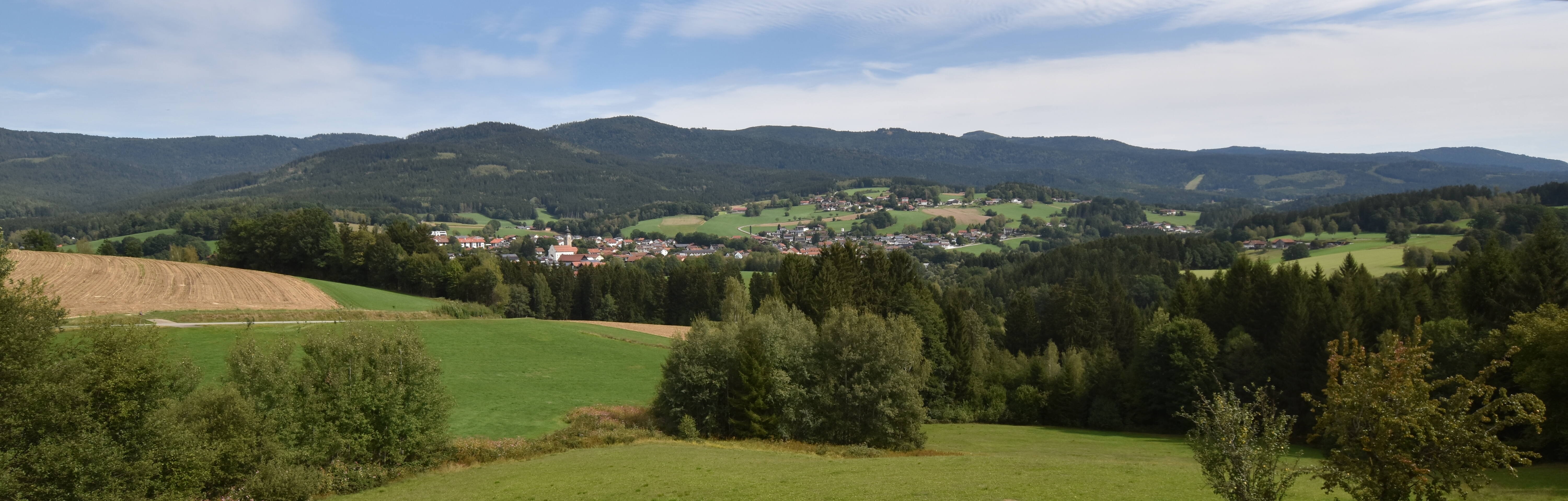Archiv Foto Webcam Drachselsried / Lesmannsried