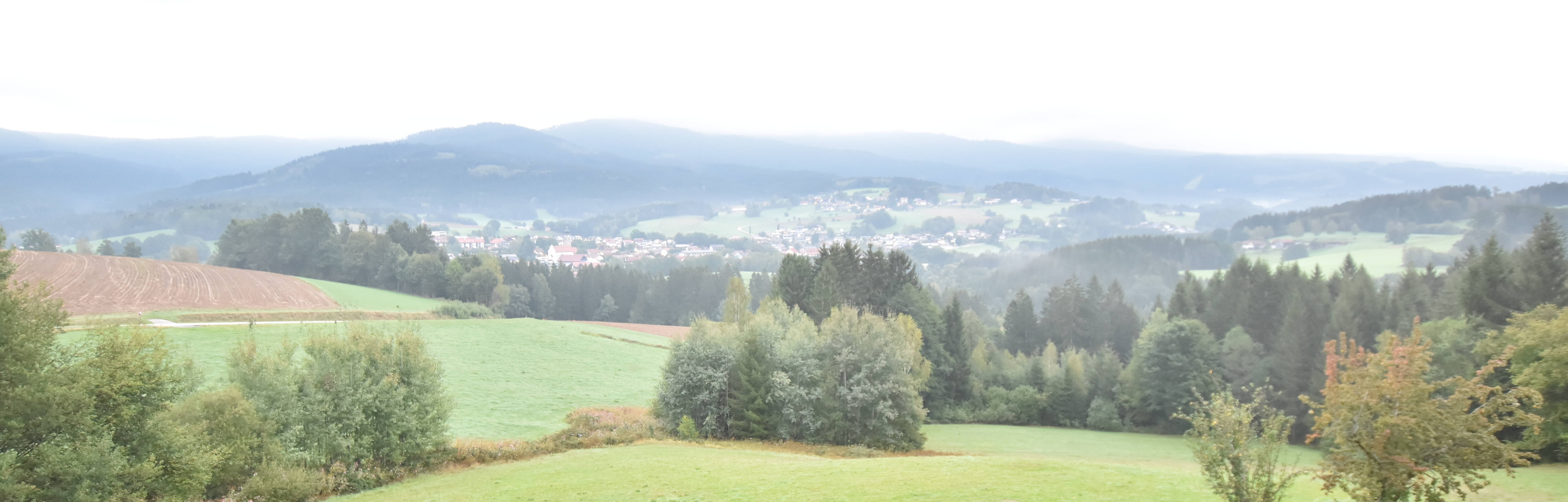 Archiv Foto Webcam Drachselsried / Lesmannsried