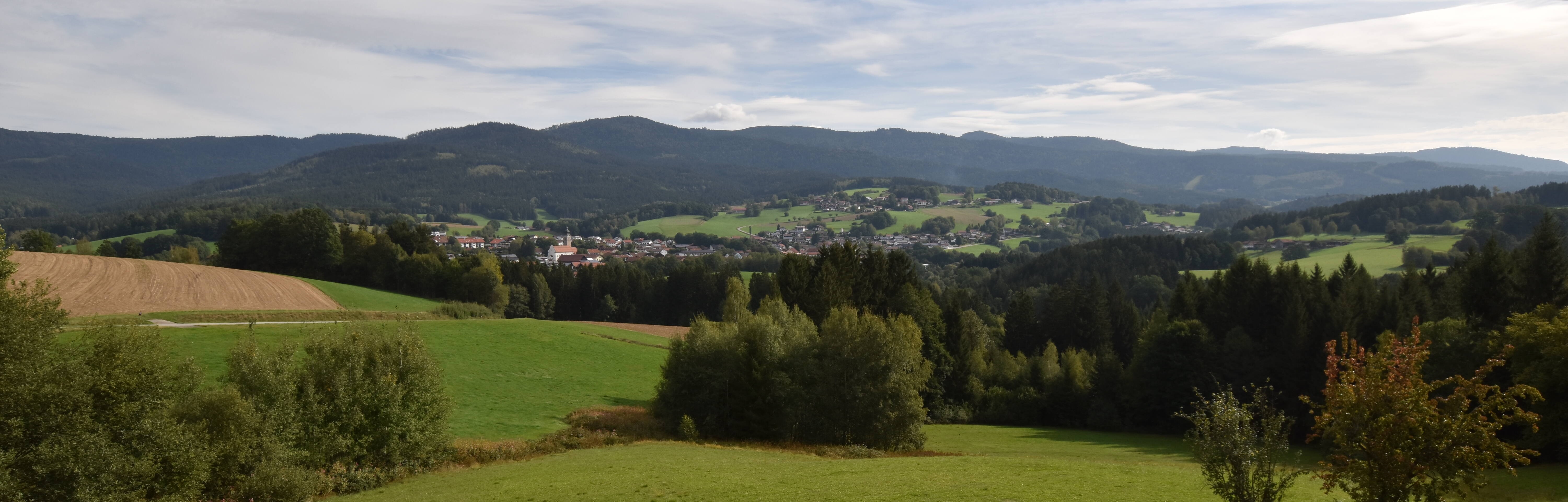 Archiv Foto Webcam Drachselsried / Lesmannsried