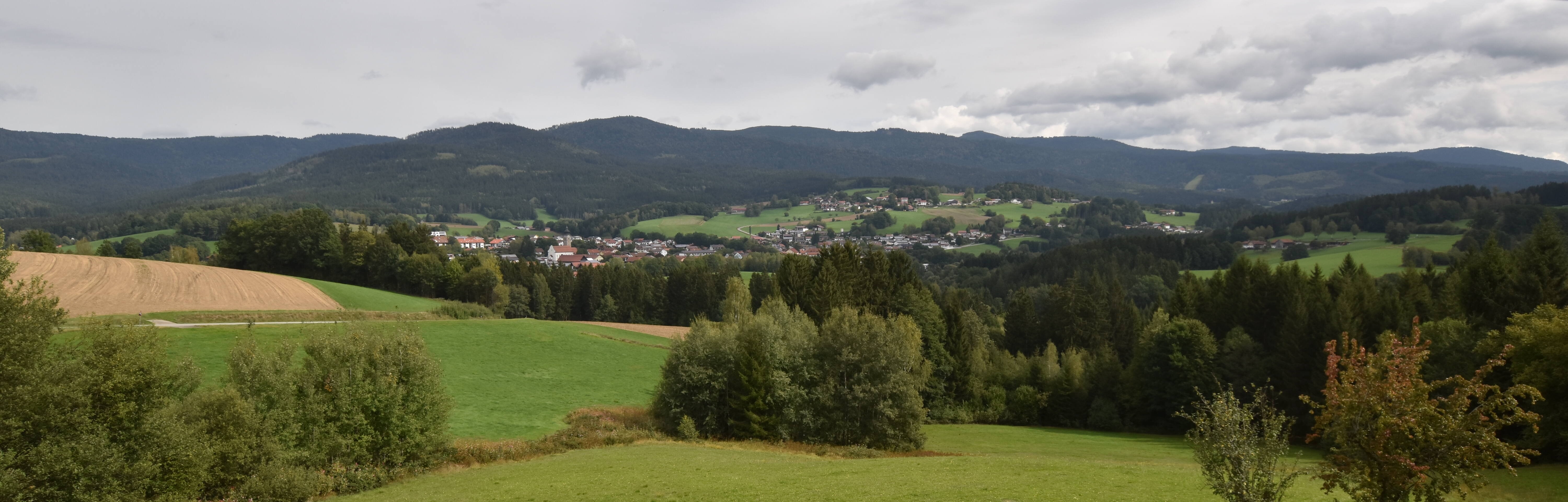 Archiv Foto Webcam Drachselsried / Lesmannsried