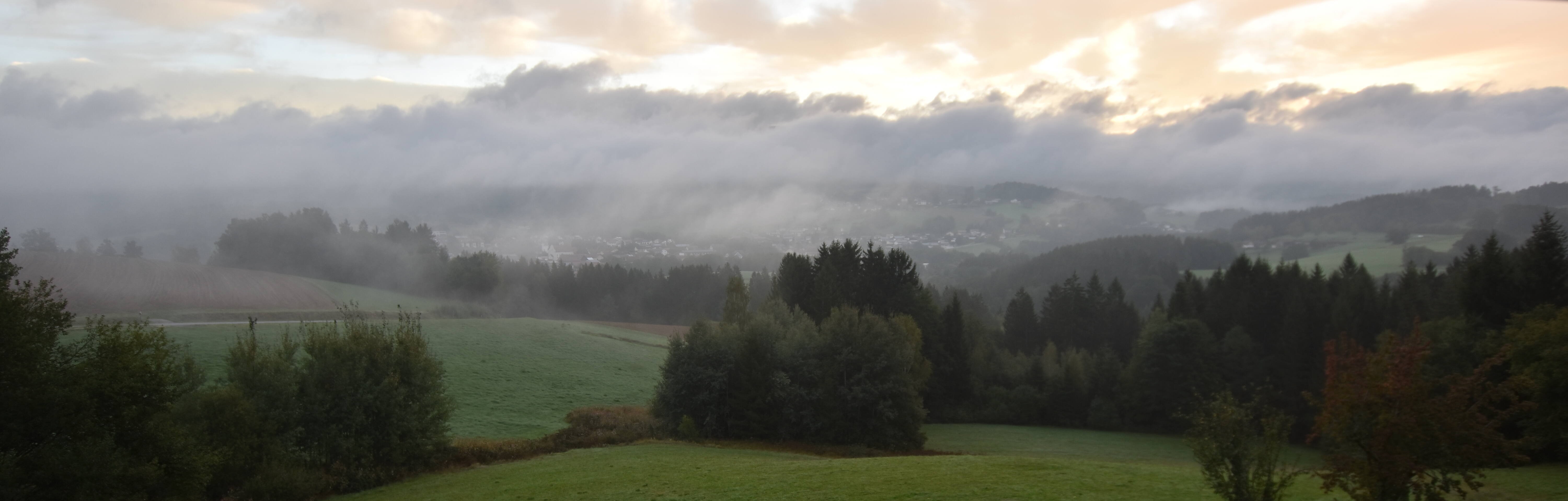 Archiv Foto Webcam Drachselsried / Lesmannsried