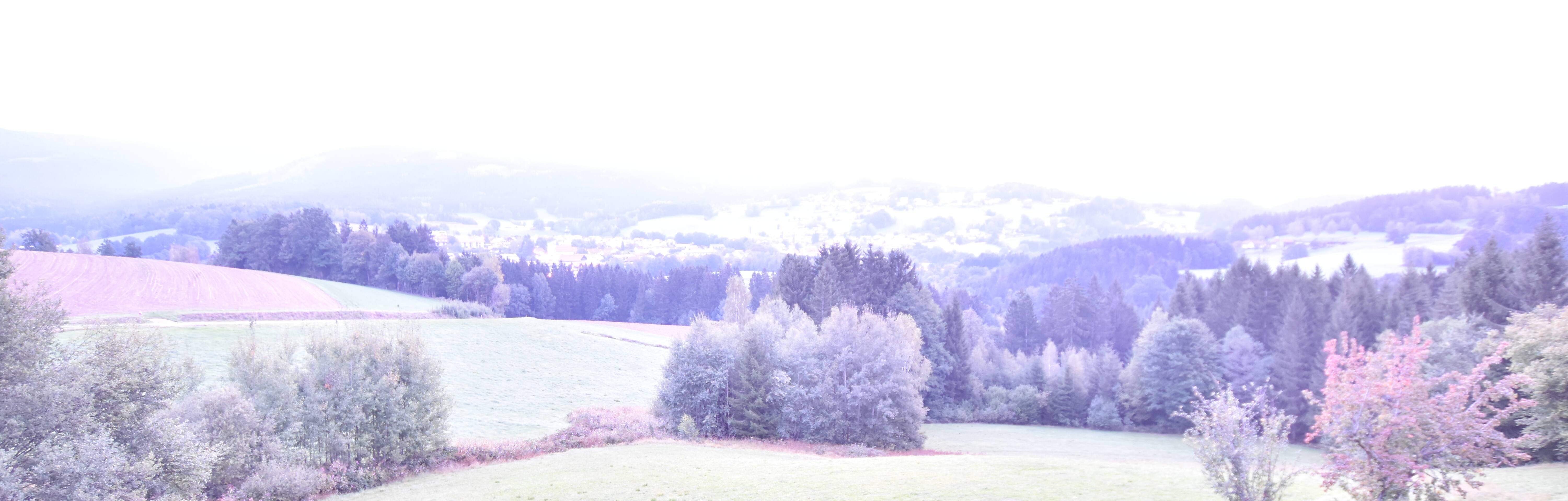 Archiv Foto Webcam Drachselsried / Lesmannsried