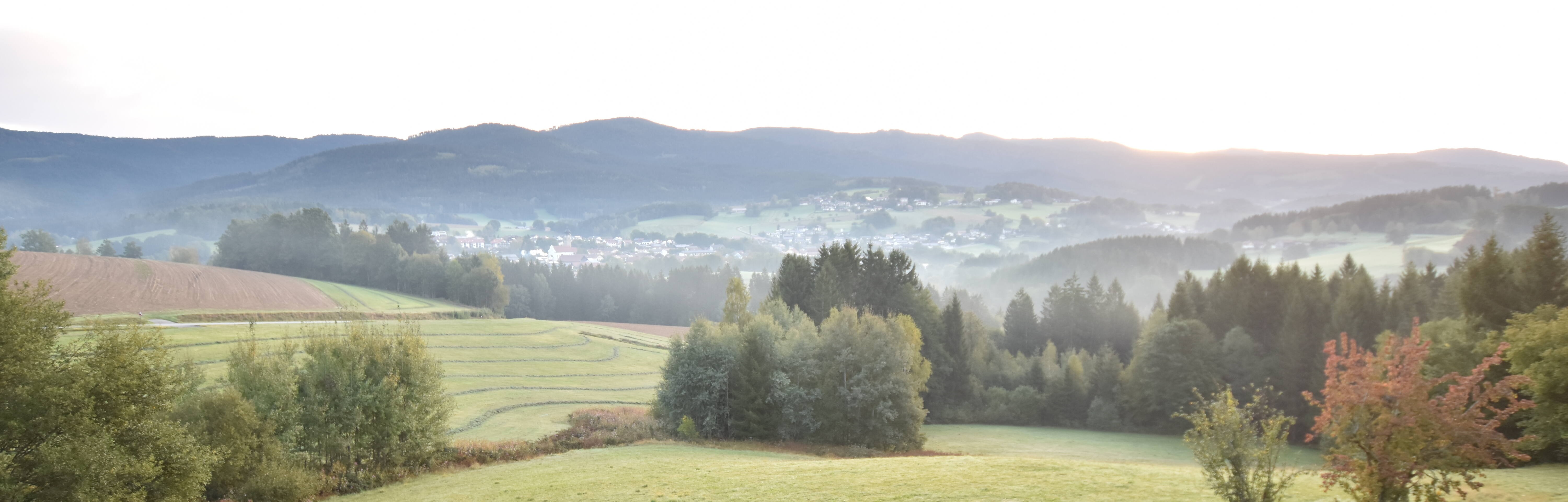 Archiv Foto Webcam Drachselsried / Lesmannsried