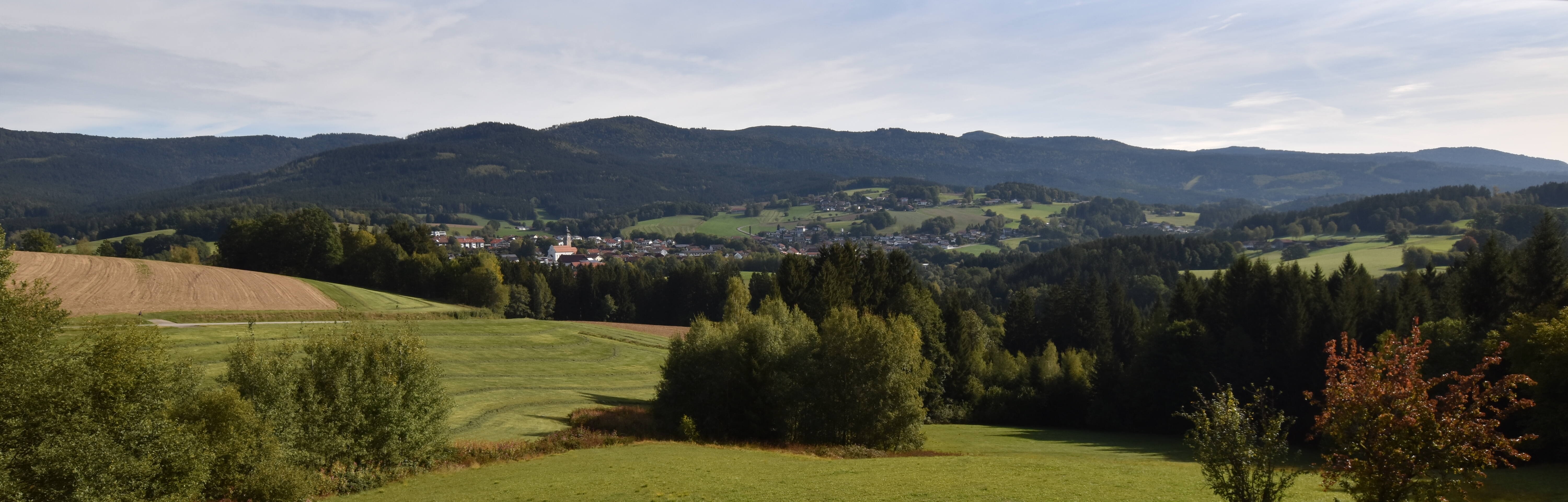 Archiv Foto Webcam Drachselsried / Lesmannsried