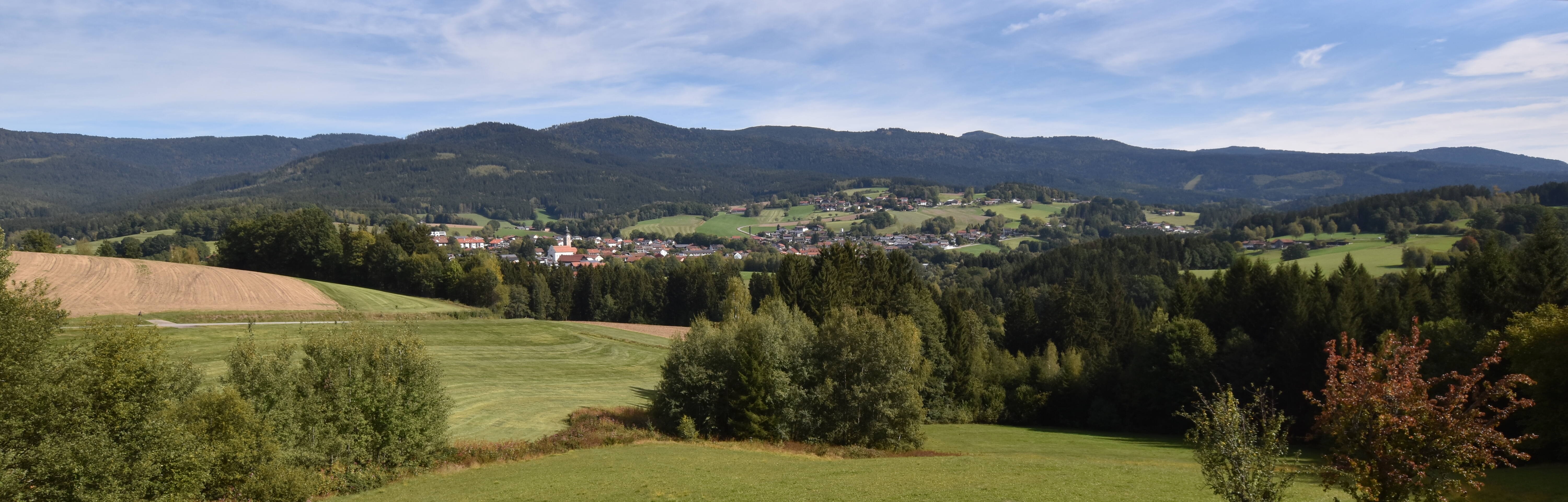 Archiv Foto Webcam Drachselsried / Lesmannsried