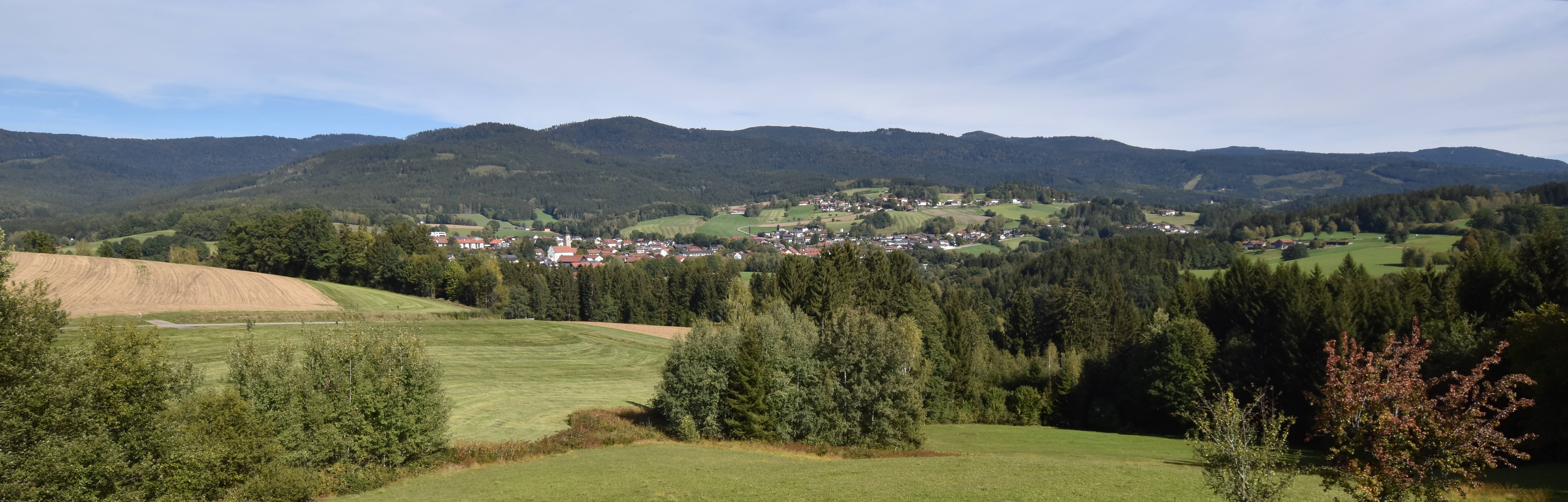 Archiv Foto Webcam Drachselsried / Lesmannsried