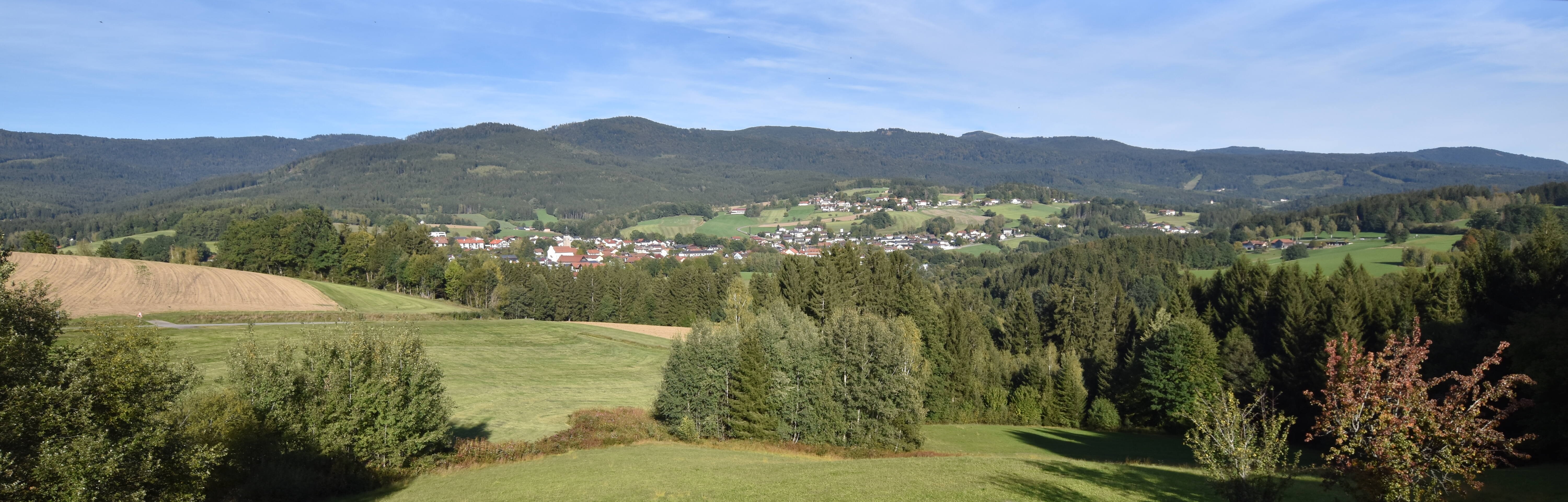 Archiv Foto Webcam Drachselsried / Lesmannsried