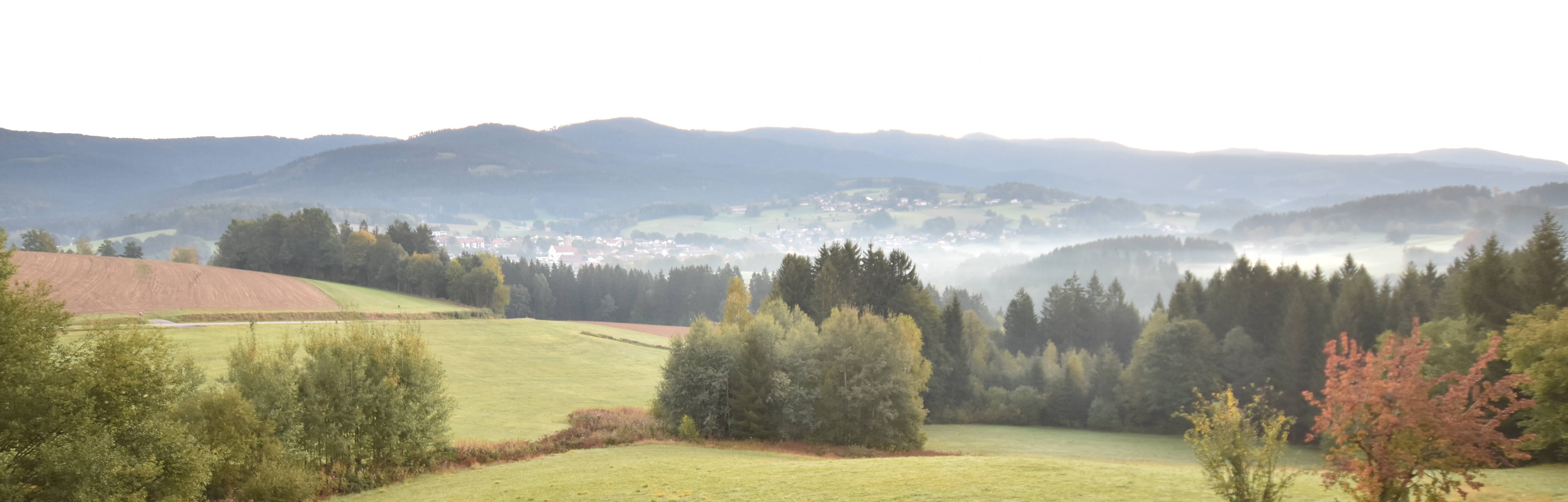 Archiv Foto Webcam Drachselsried / Lesmannsried