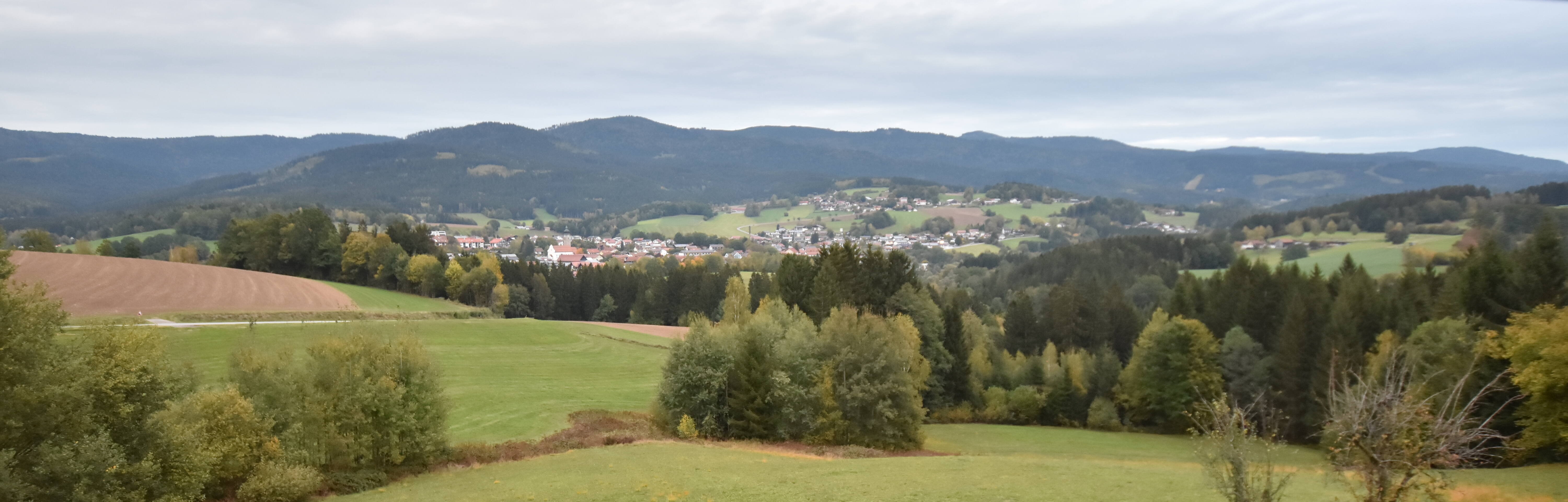 Archiv Foto Webcam Drachselsried / Lesmannsried