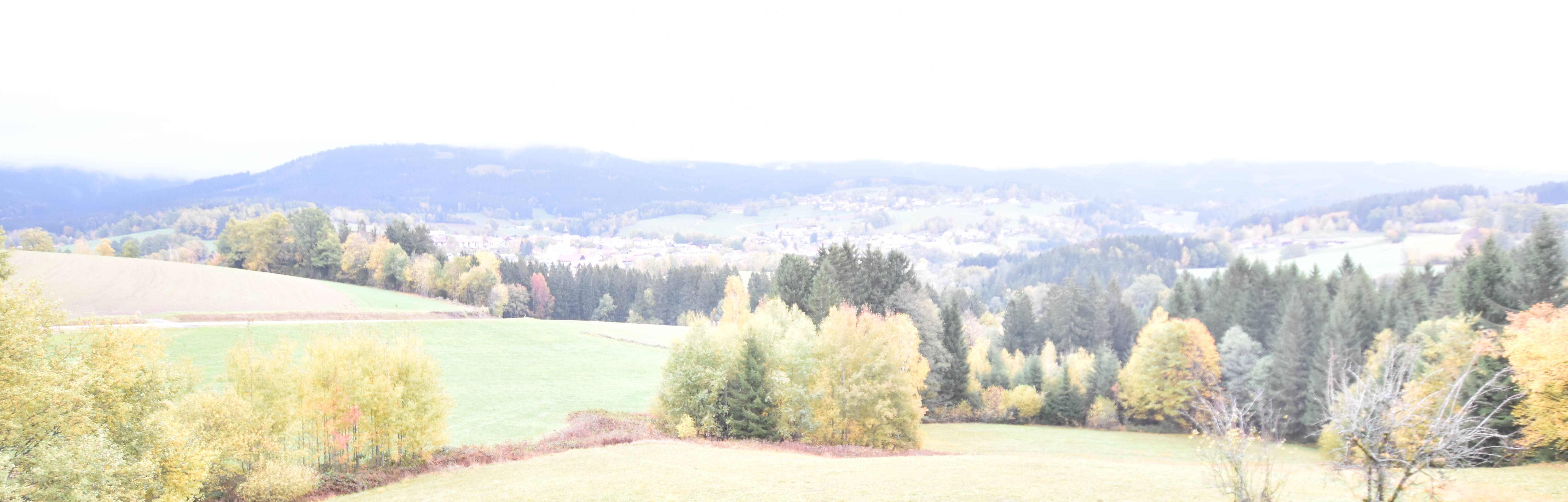 Archiv Foto Webcam Drachselsried / Lesmannsried