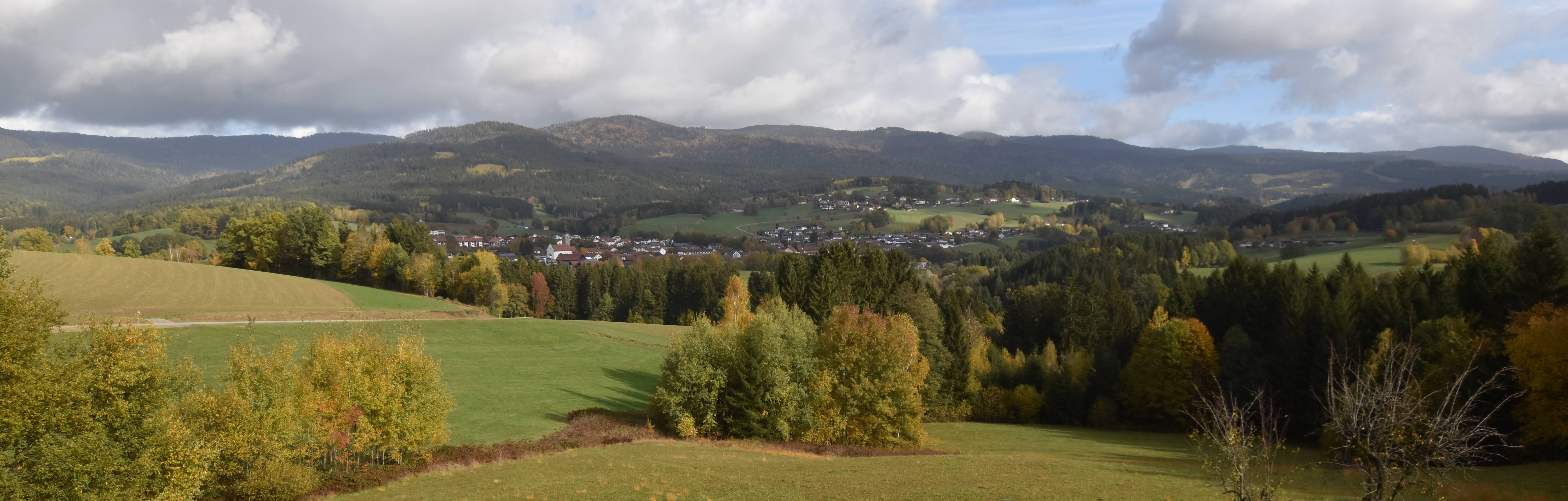 Archiv Foto Webcam Drachselsried / Lesmannsried