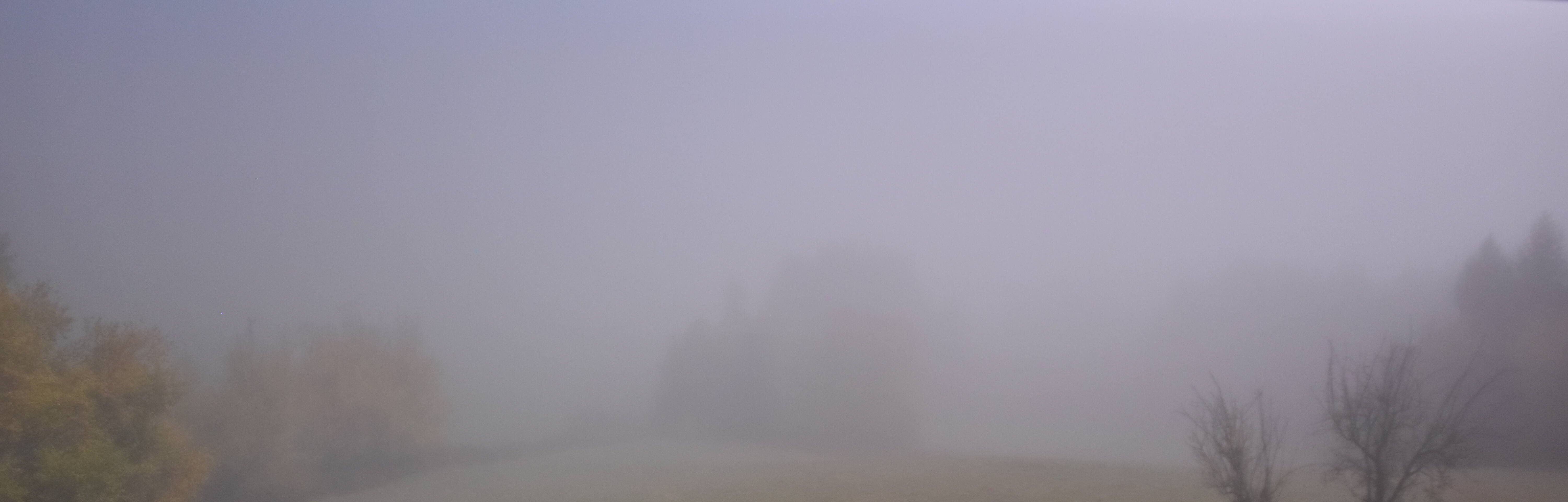 Archived image Webcam Drachselsried: Lesmannsried
