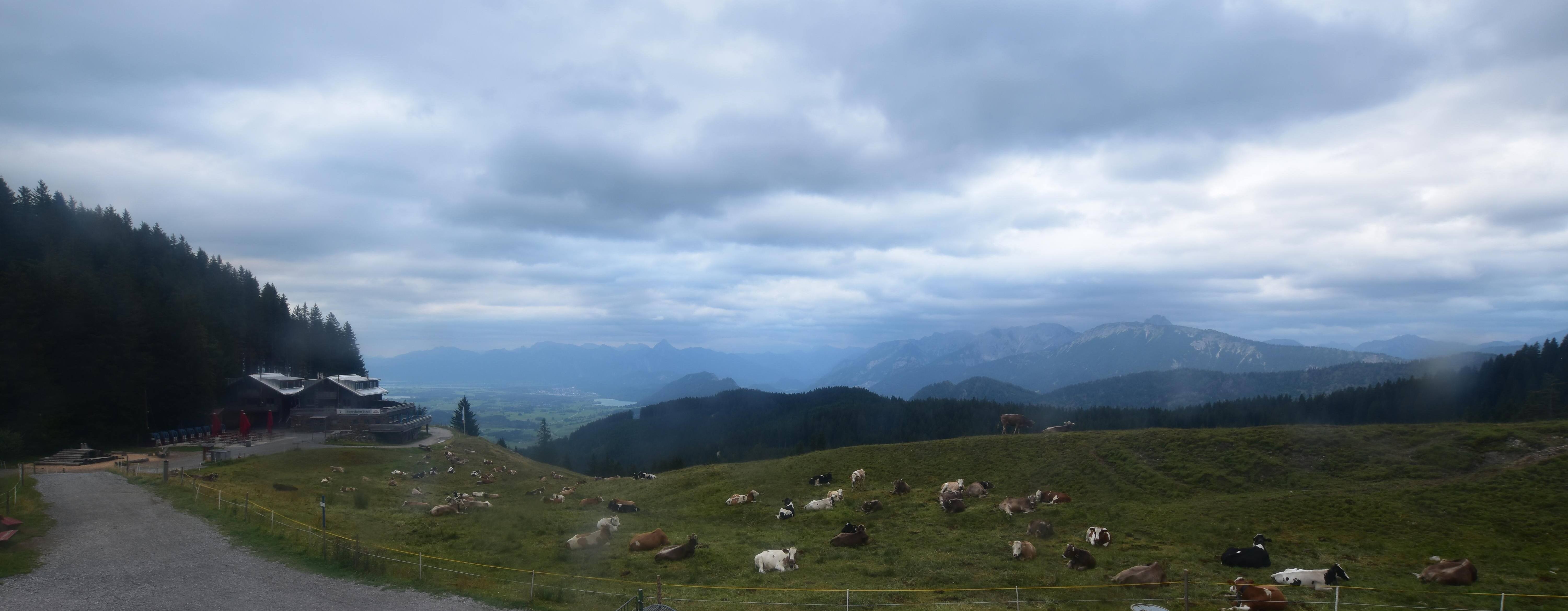Archiv Foto Webcam Alpspitzbahn Nesselwang: Sportheim Böck
