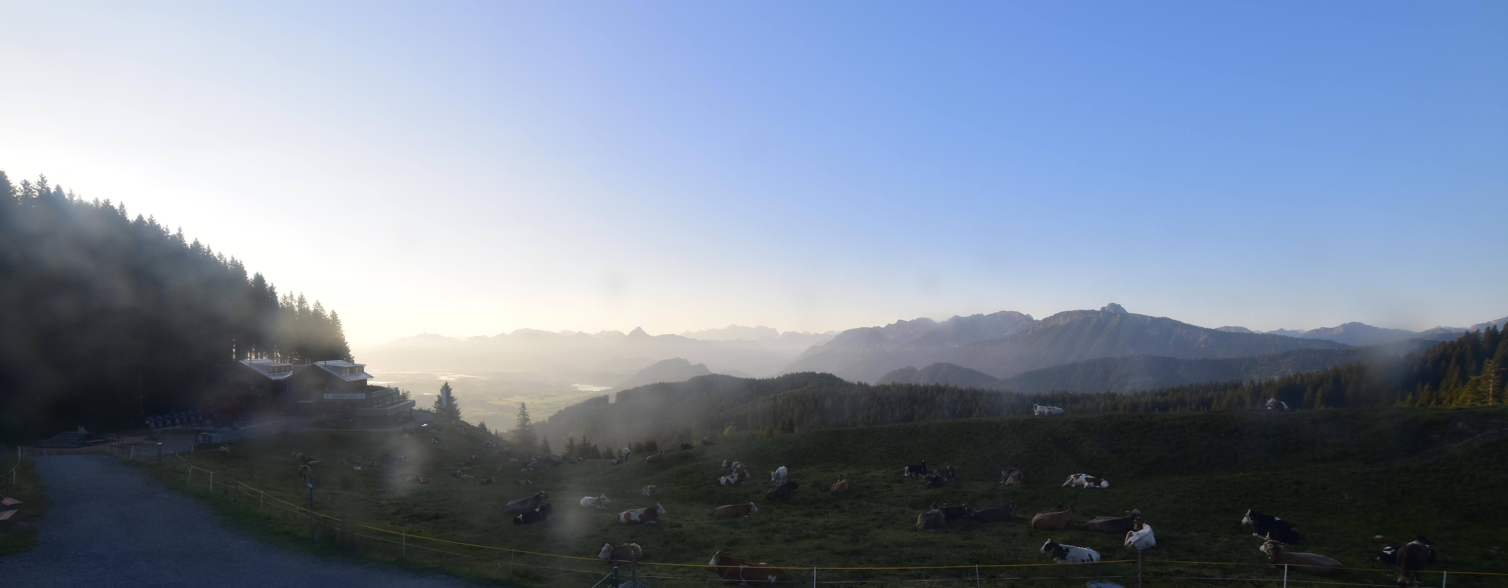 Archiv Foto Webcam Alpspitzbahn Nesselwang: Sportheim Böck