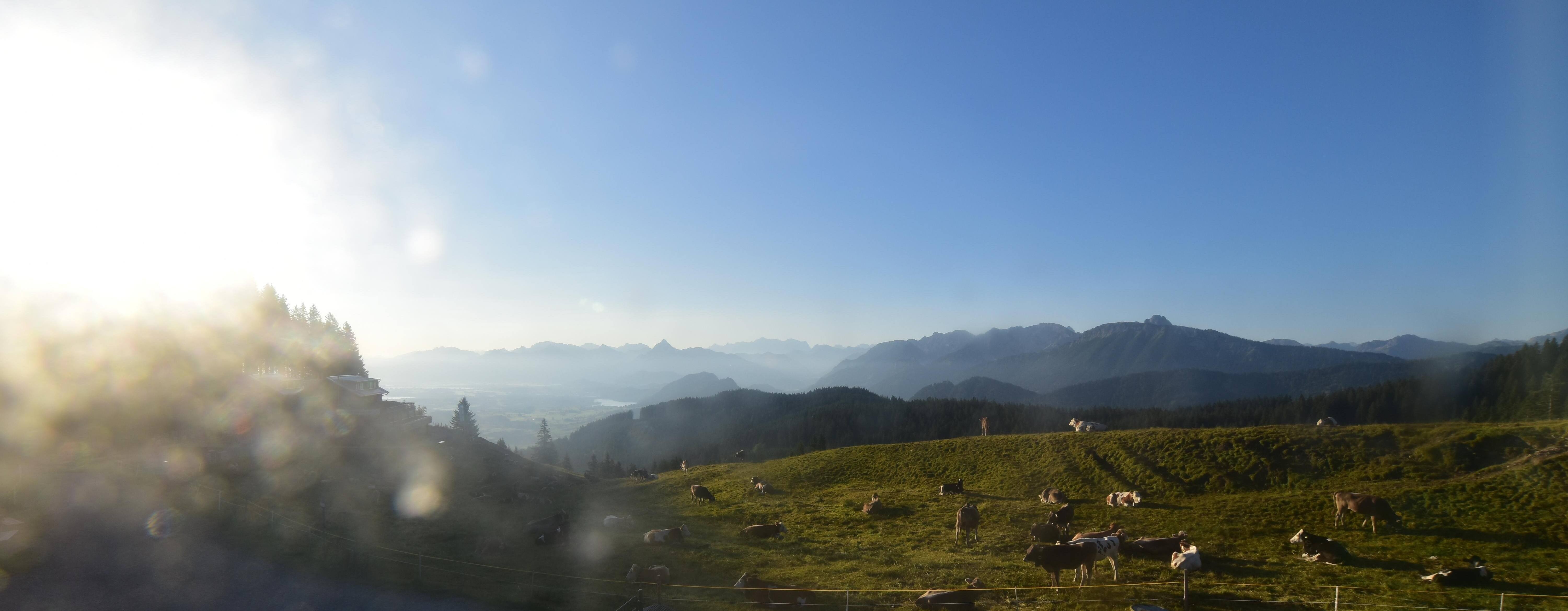 Archiv Foto Webcam Alpspitzbahn Nesselwang: Sportheim Böck