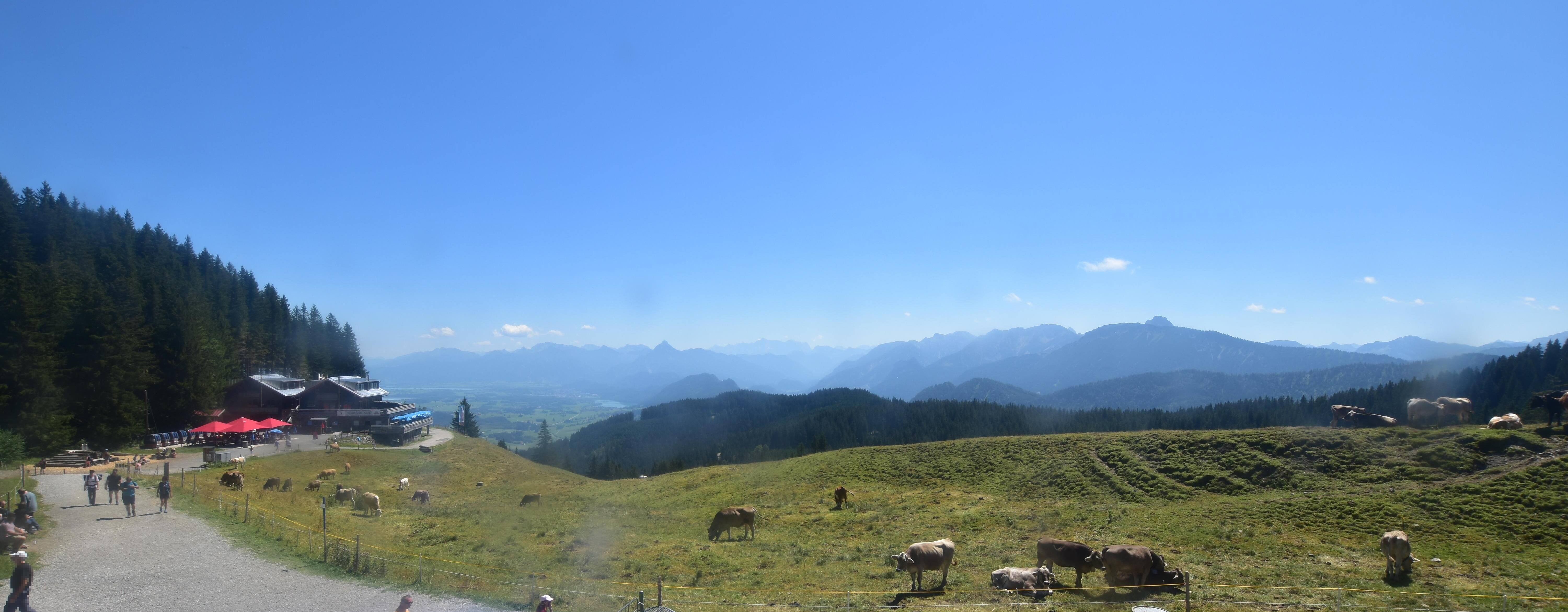 Archiv Foto Webcam Alpspitzbahn Nesselwang: Sportheim Böck