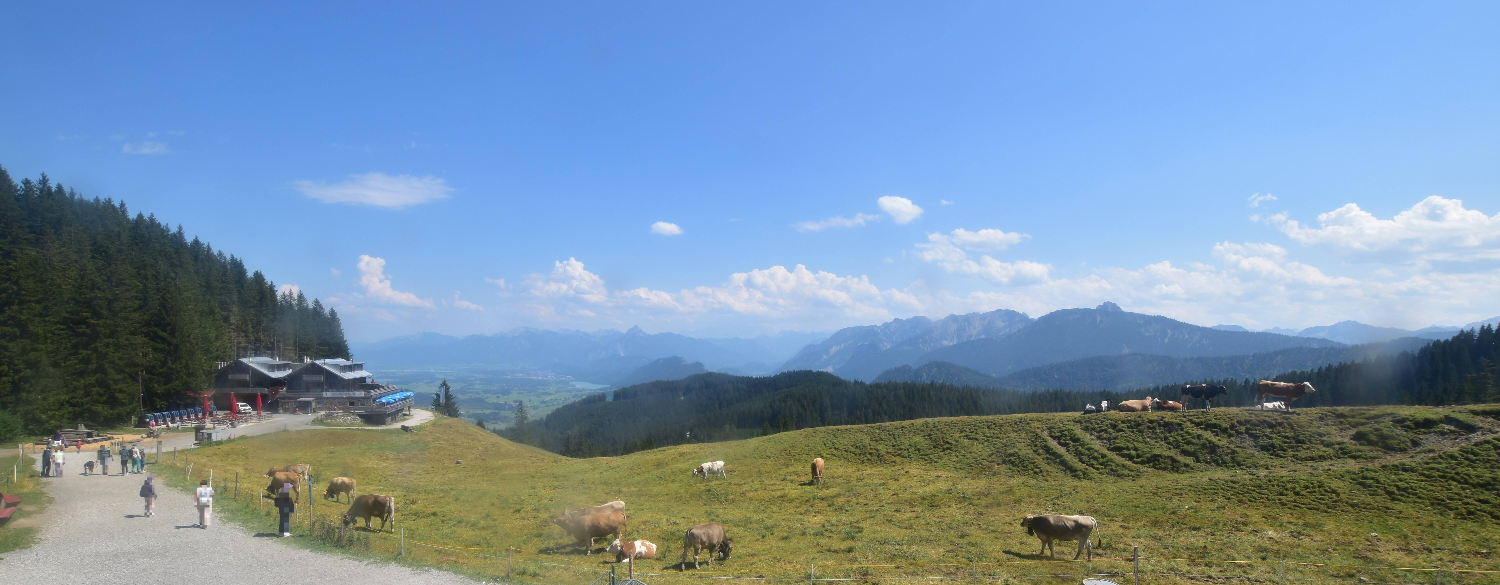 Archiv Foto Webcam Alpspitzbahn Nesselwang: Sportheim Böck