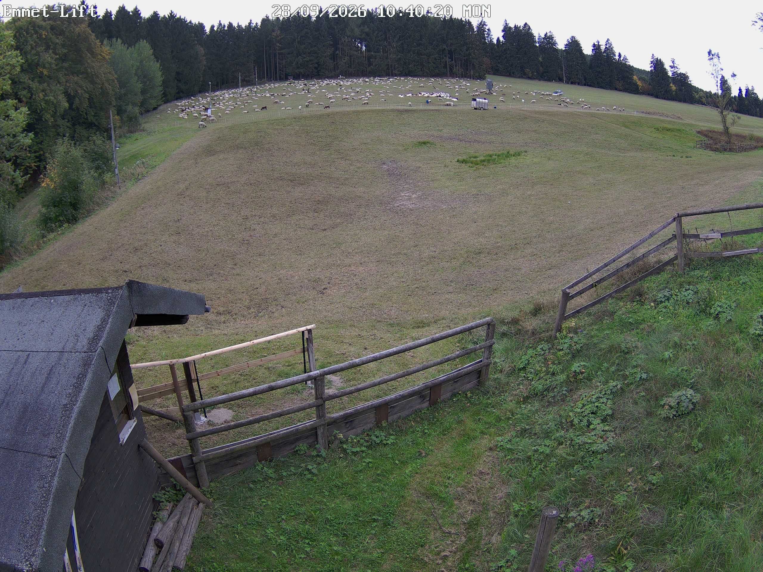 Archiv Foto Webcam Willingen-Usseln: Lift Emmet