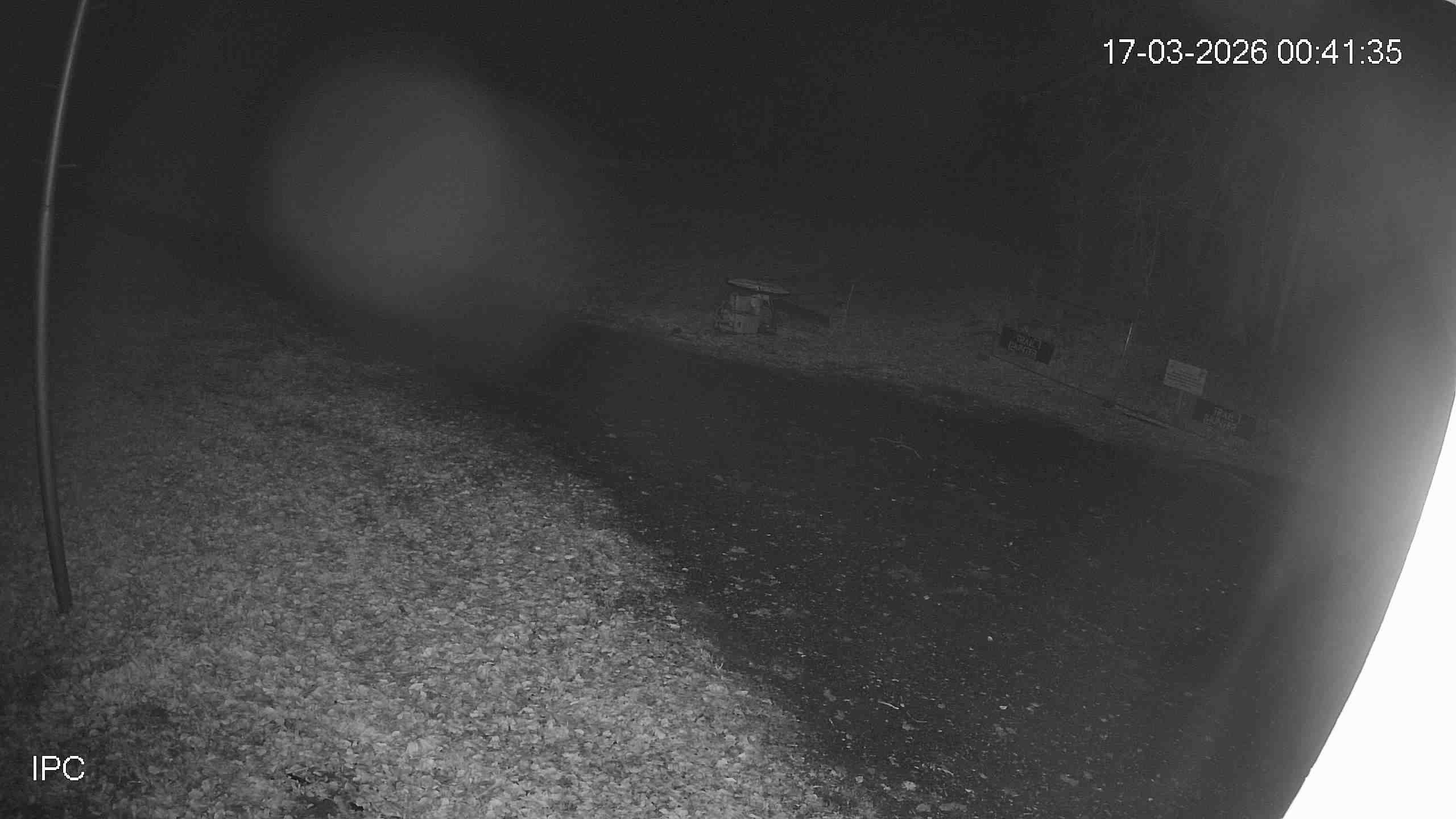 Archiv Foto Webcam Bad Marienberg: Blick auf den Kinderlift