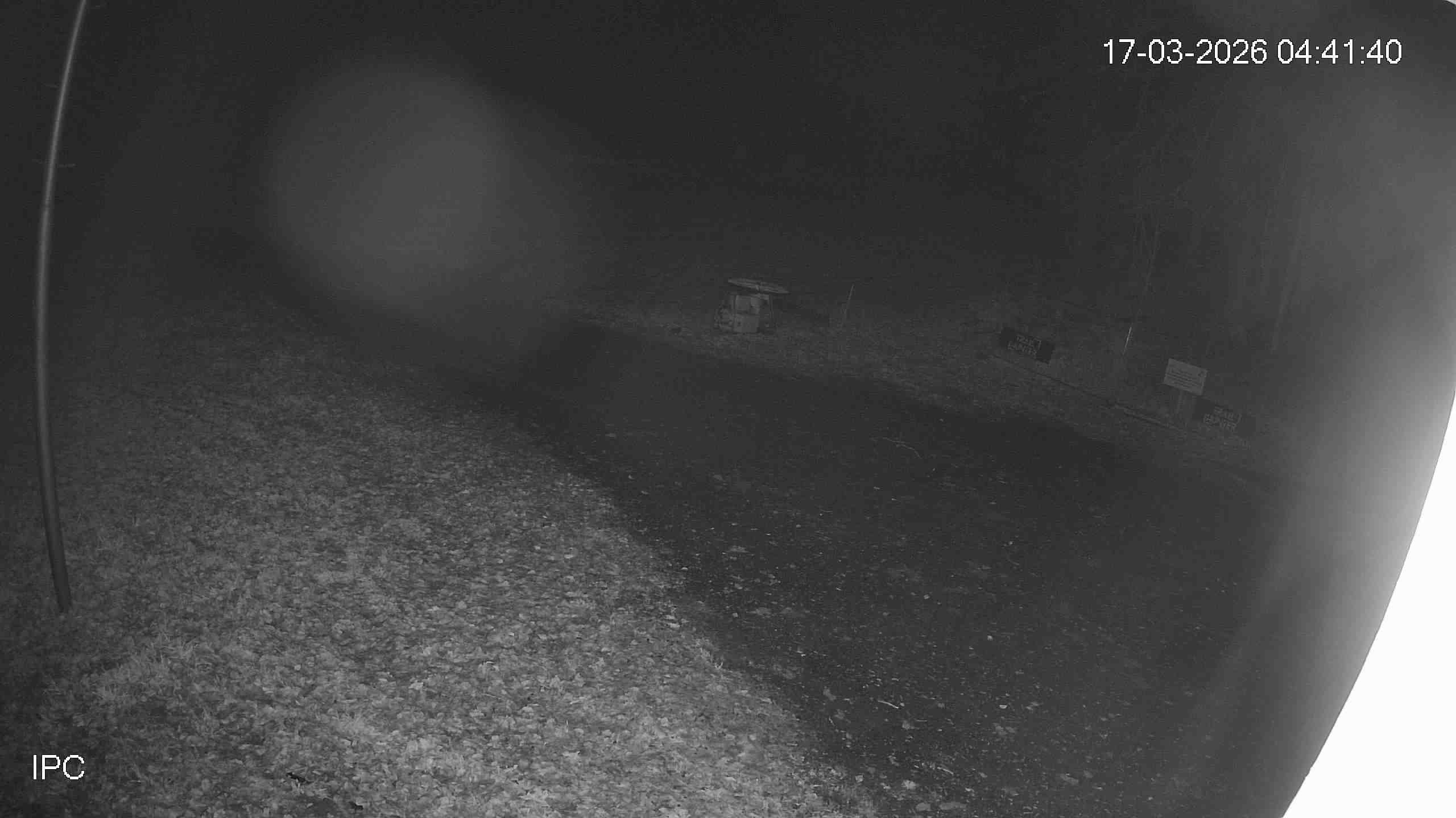 Archiv Foto Webcam Bad Marienberg: Blick auf den Kinderlift