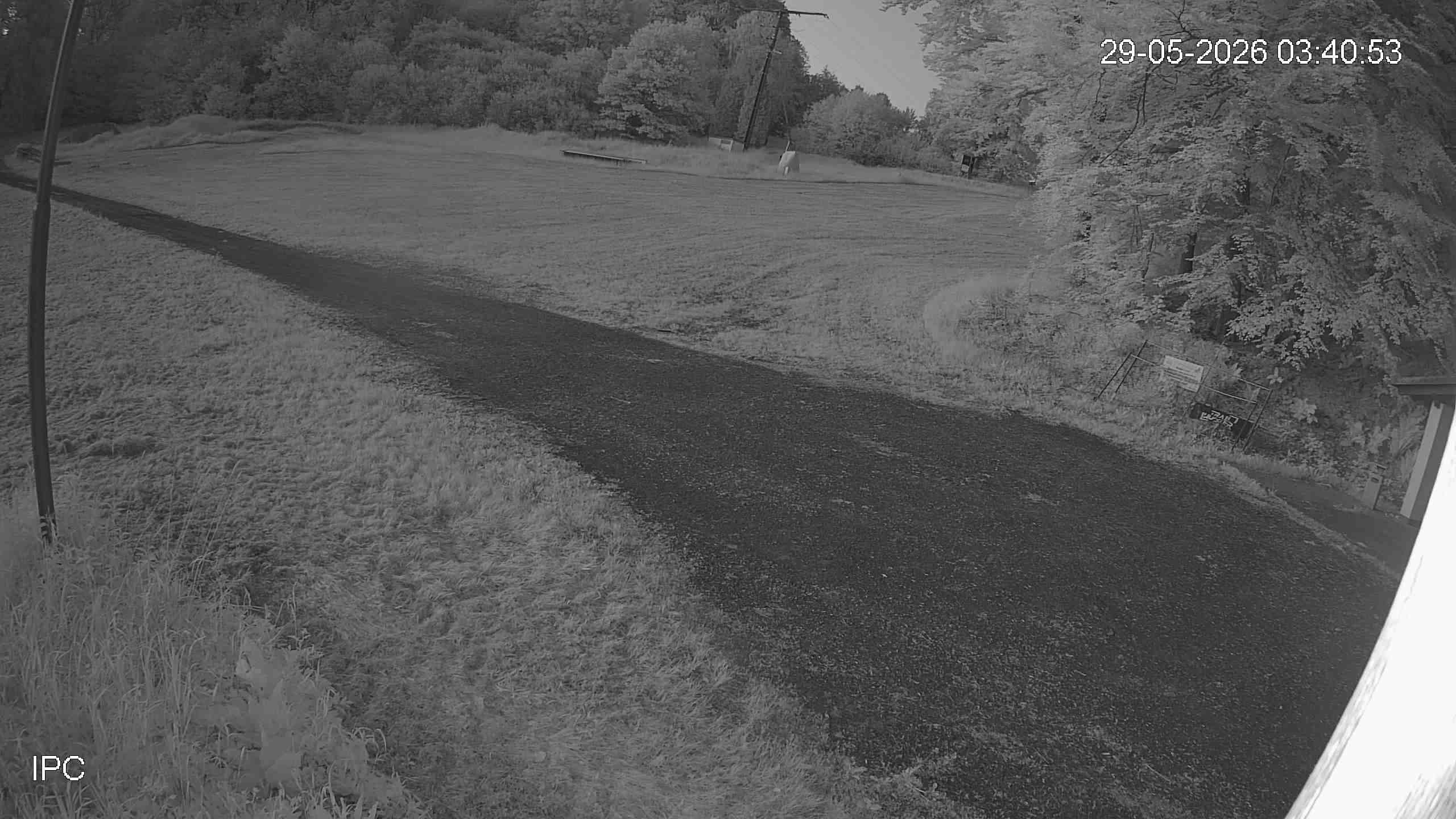 Archiv Foto Webcam Bad Marienberg: Blick auf den Kinderlift