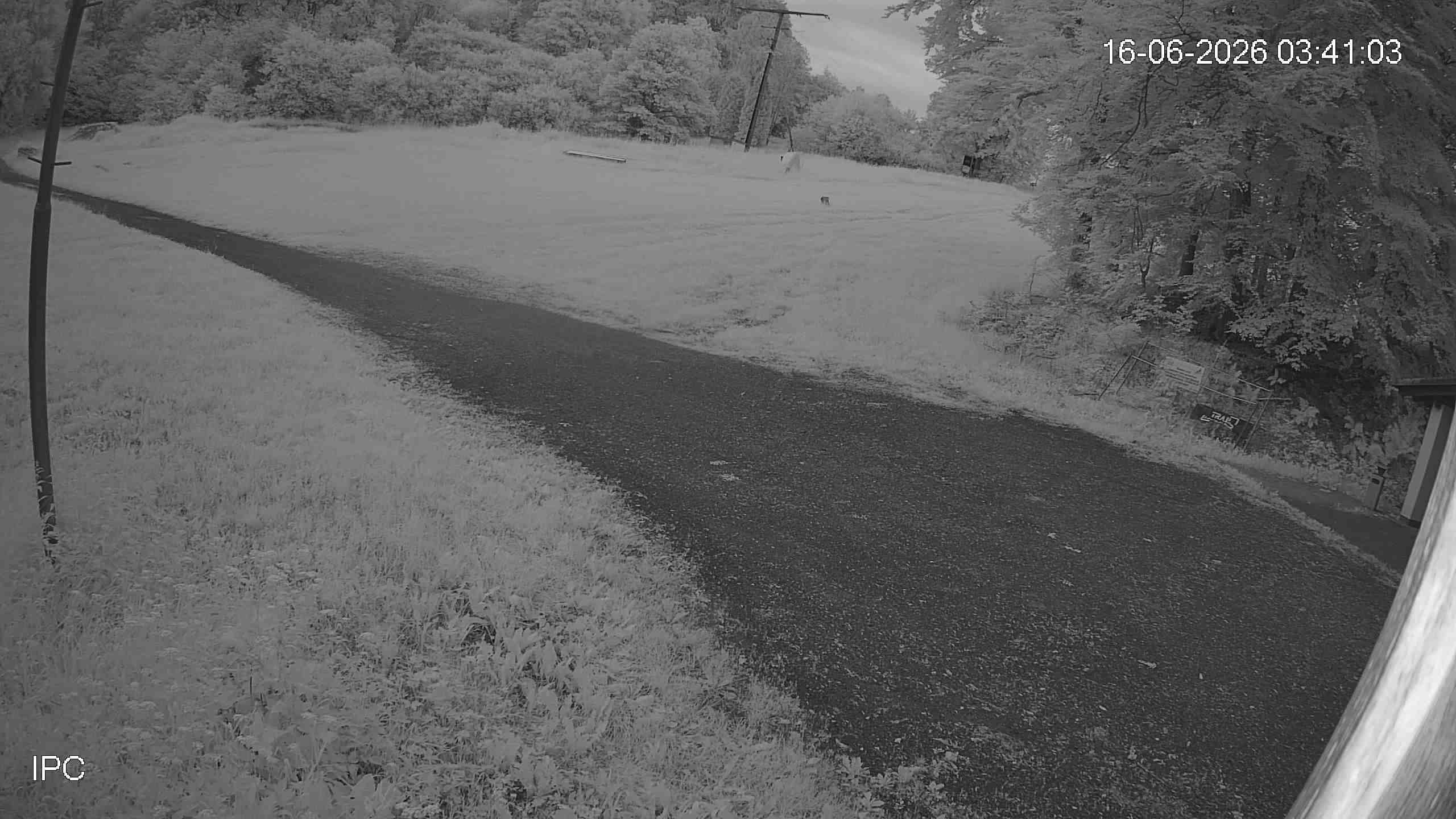 Archiv Foto Webcam Bad Marienberg: Blick auf den Kinderlift