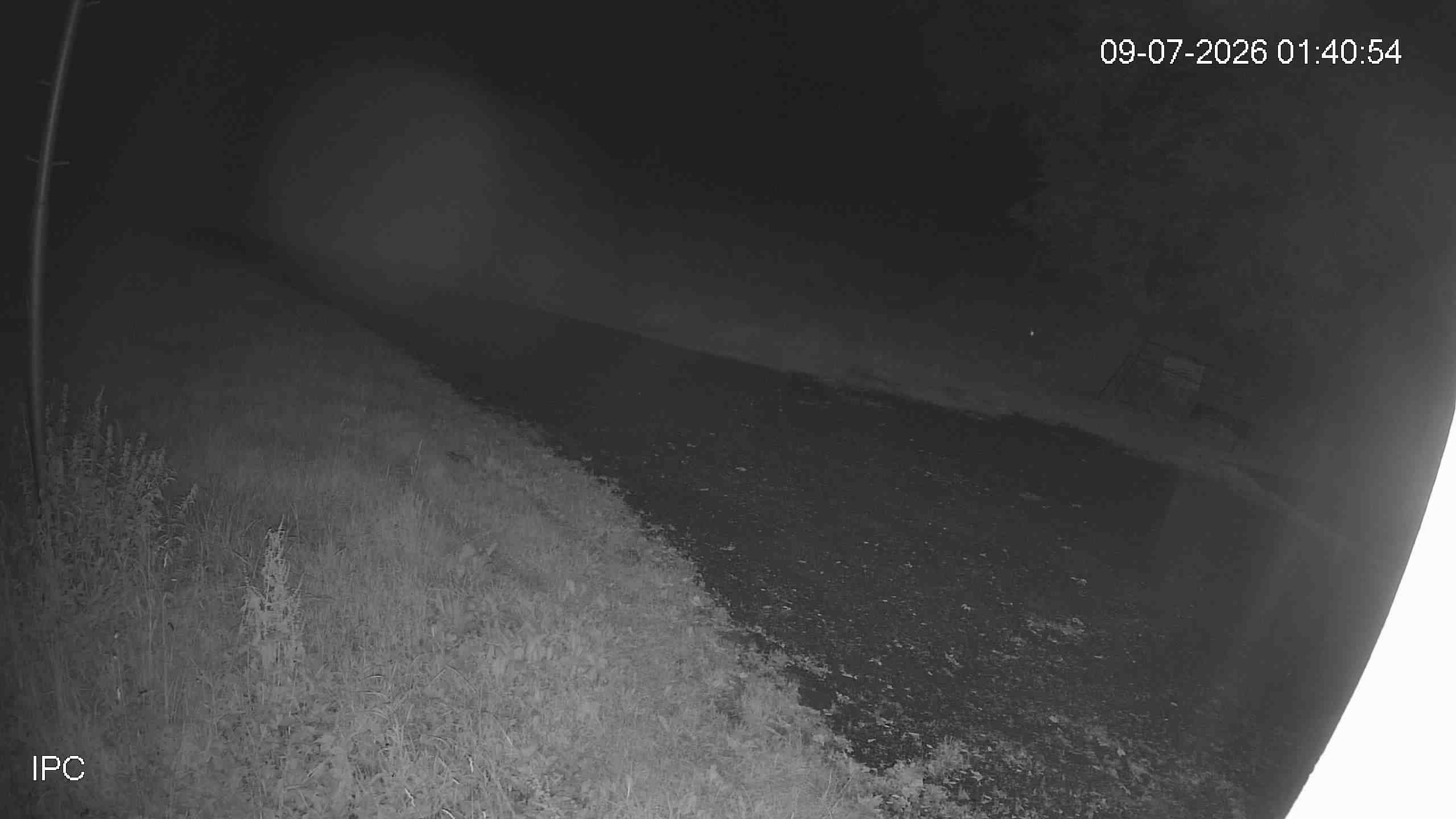 Archiv Foto Webcam Bad Marienberg: Blick auf den Kinderlift