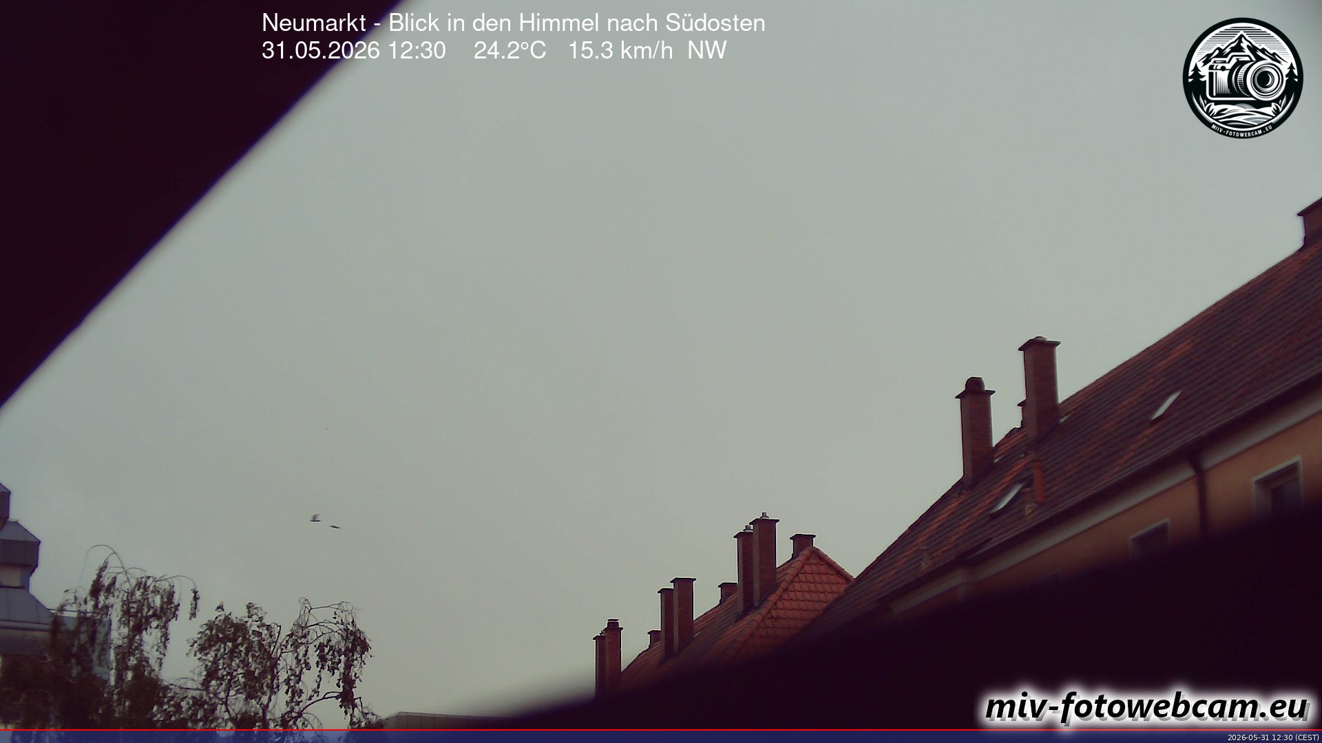 Archived image Webcam Neumarkt: Cam south east