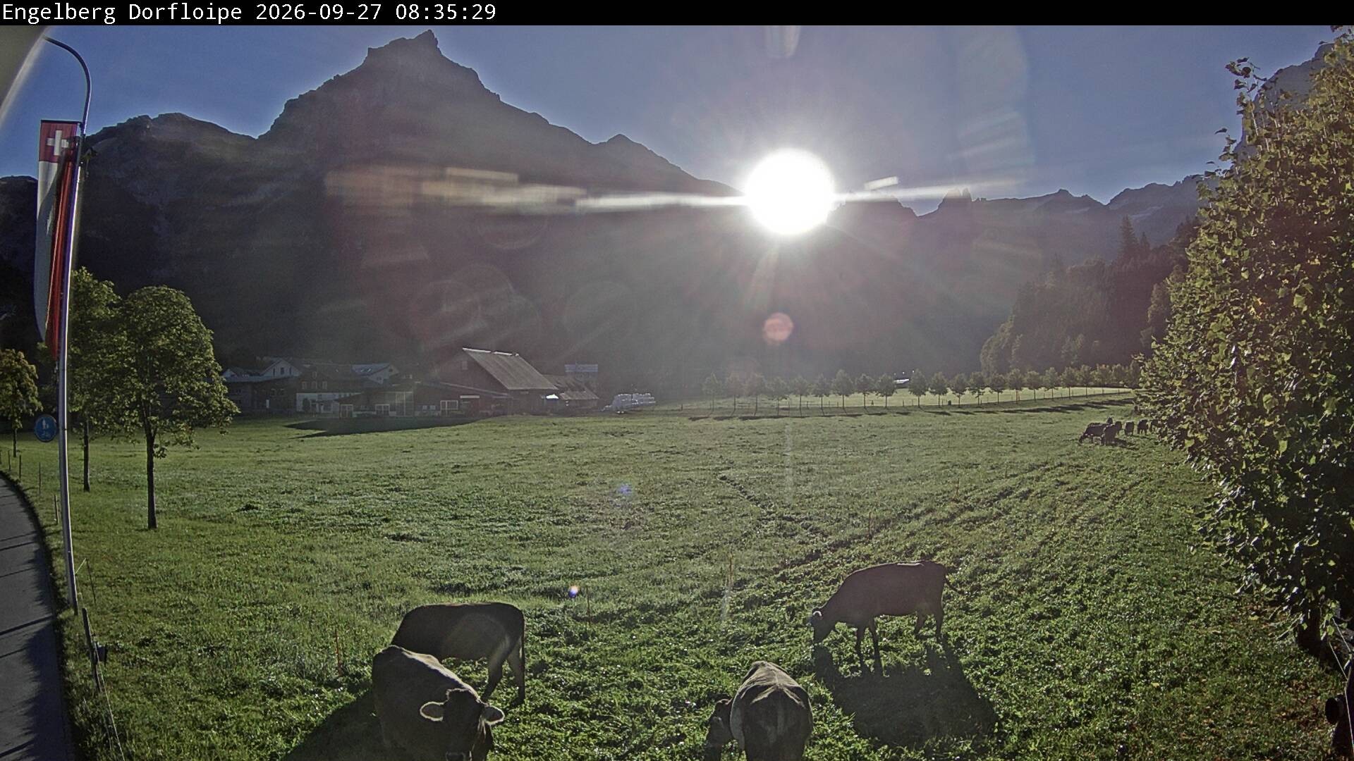 Archiv Foto Webcam Engelberg: Erlenwiese