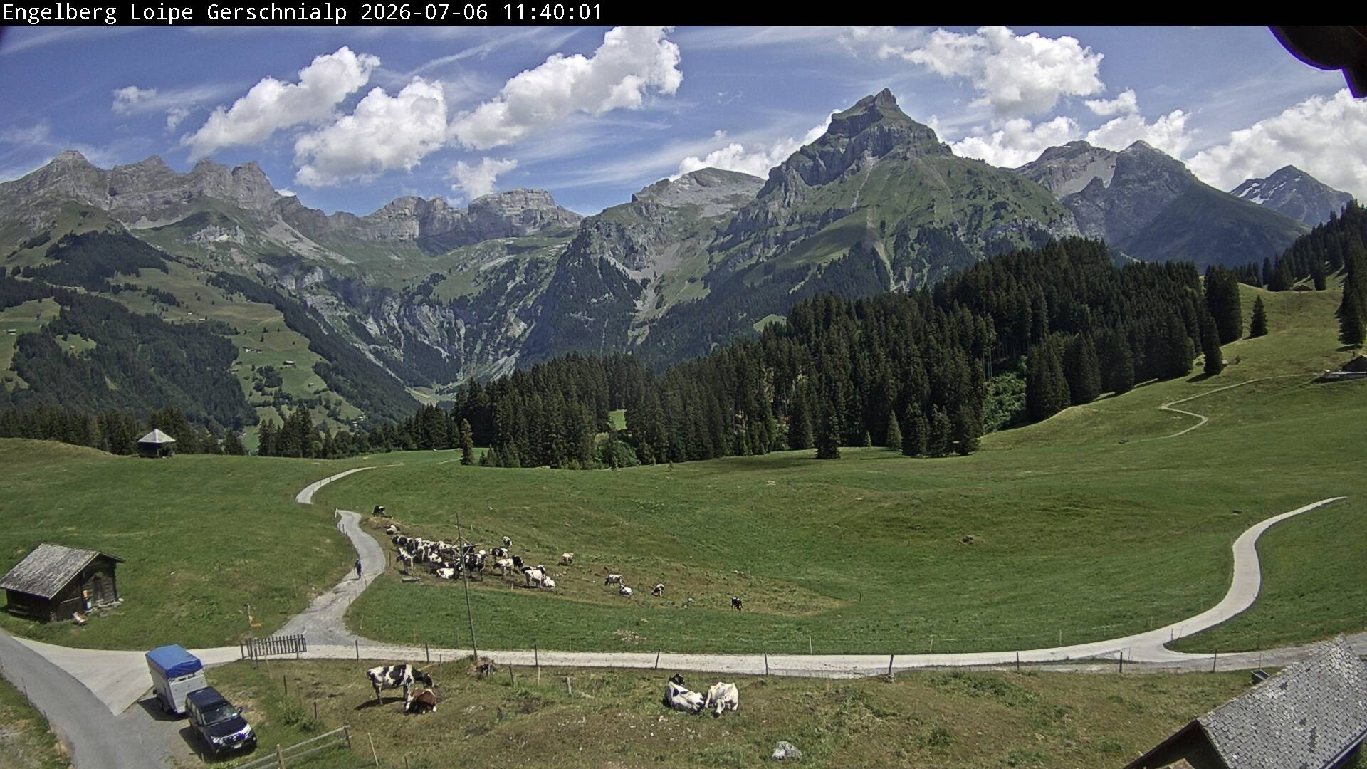 Archiv Foto Webcam Engelberg: Blick Gerschnialp
