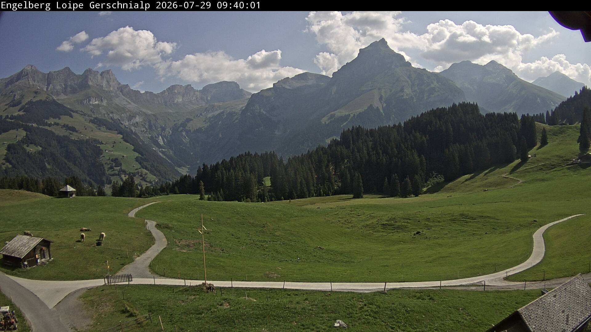 Archiv Foto Webcam Engelberg: Blick Gerschnialp