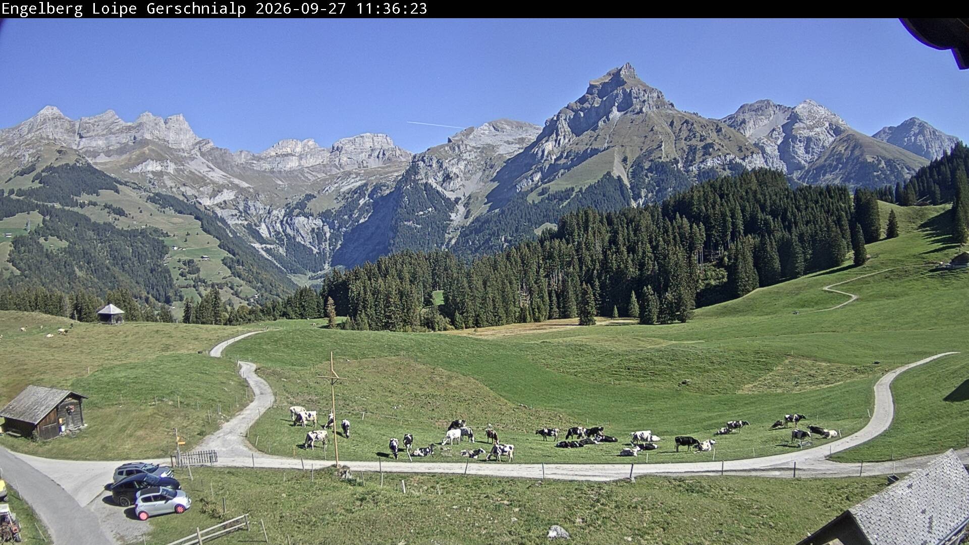 Archiv Foto Webcam Engelberg: Blick Gerschnialp
