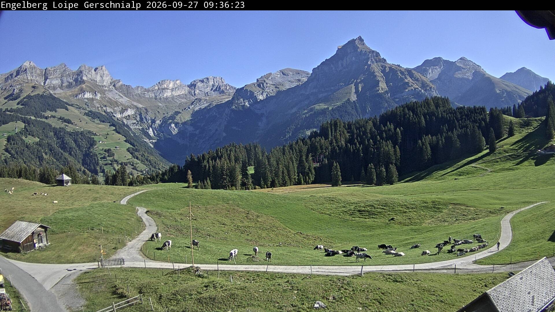 Archiv Foto Webcam Engelberg: Blick Gerschnialp
