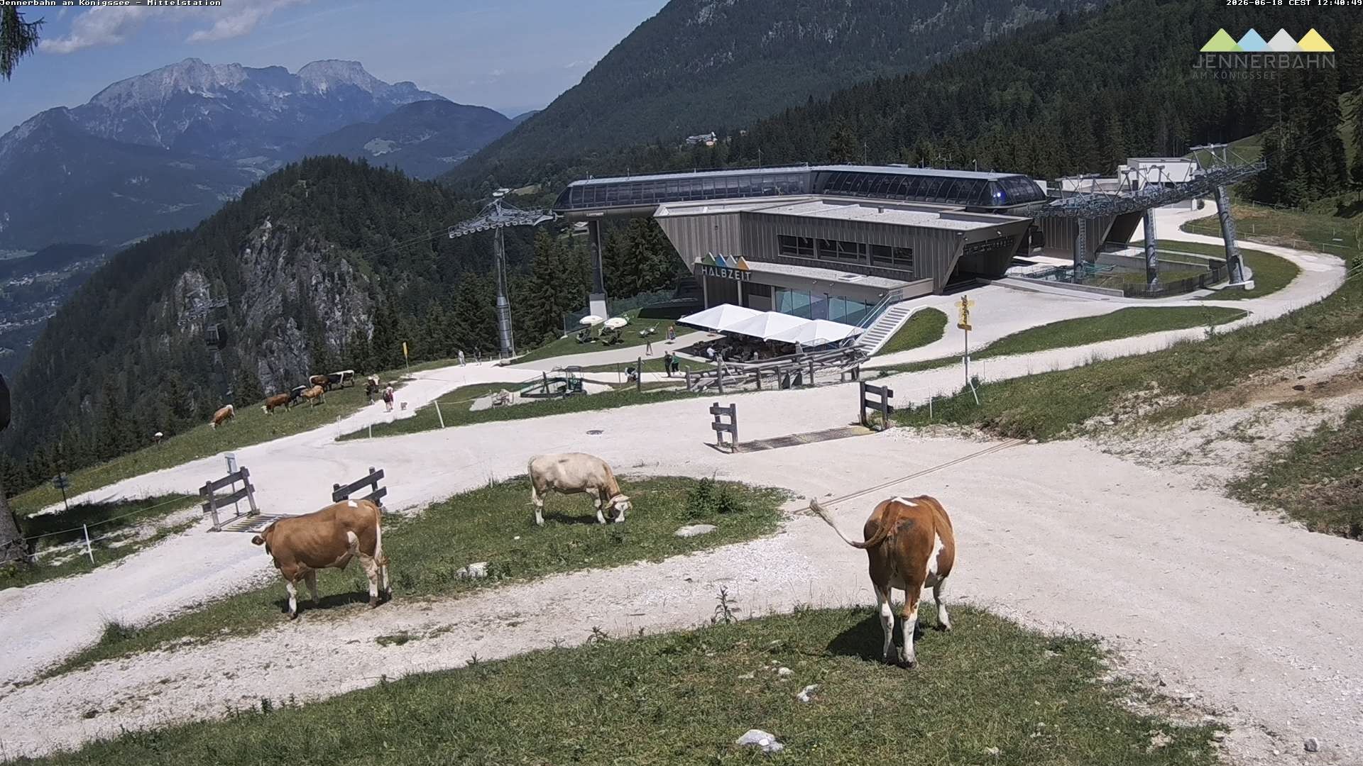 Archiv Foto Webcam Königssee: Jennerbahn Mittelstation